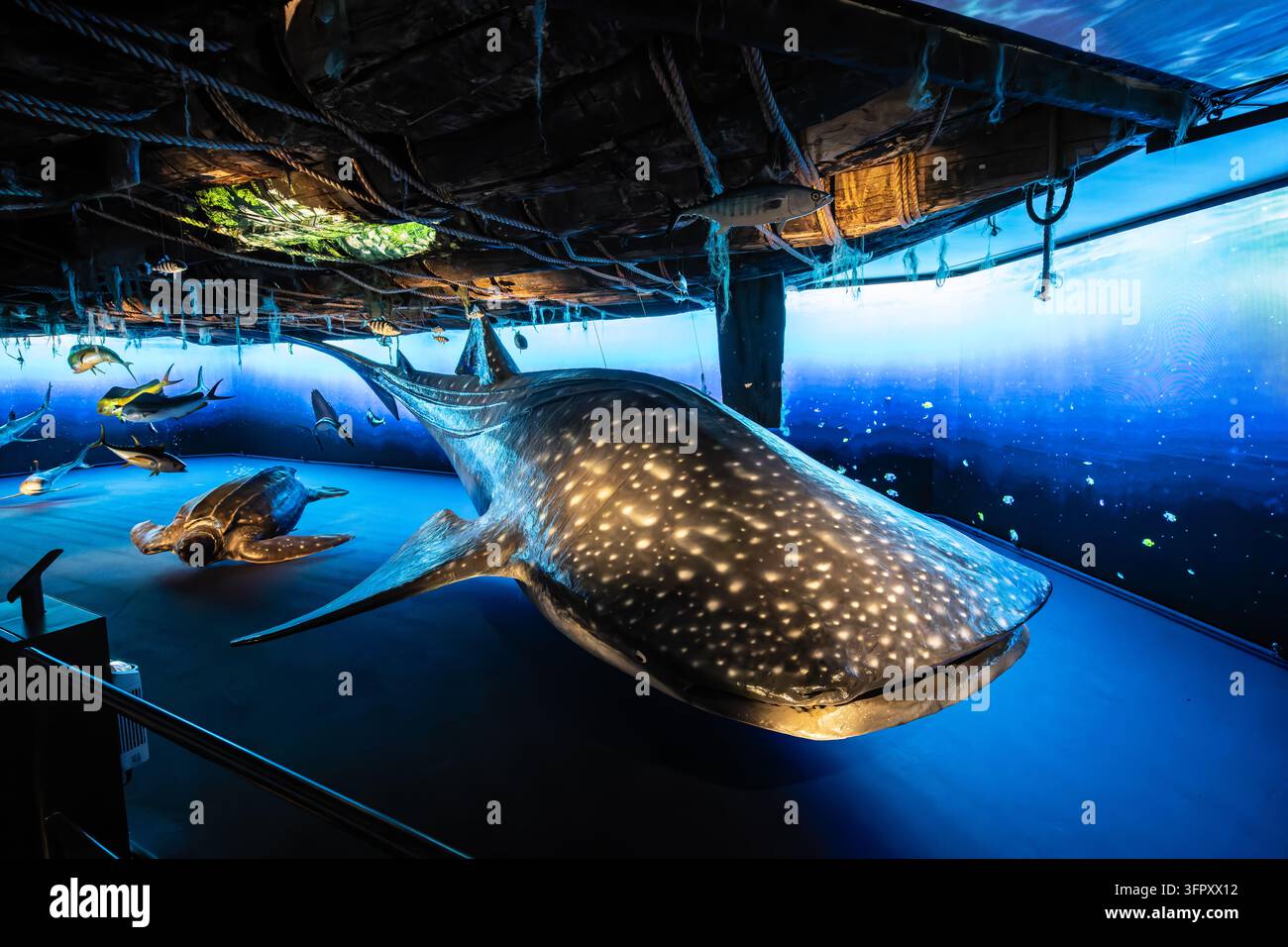 Eine Ausstellungspräsentation im Kon-Tiki-Museum in Oslo, Norwegen, mit einem Modell eines Walhaies und Meeresleben unter einer Nachbildung eines Floßes. Stockfoto
