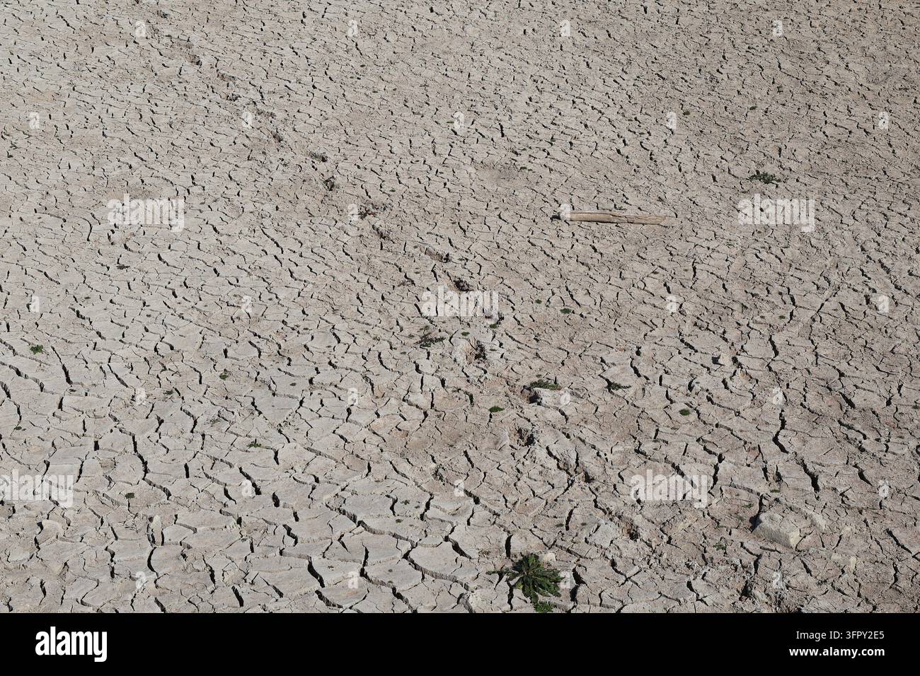 Rissige trockene Bodenoberfläche, die schwere Dürre und Wasserknappheit offenbart Stockfoto