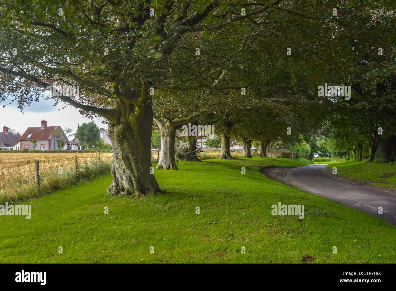 Landstraße in Maiden Bradley - Wiltshire, England Stockfoto