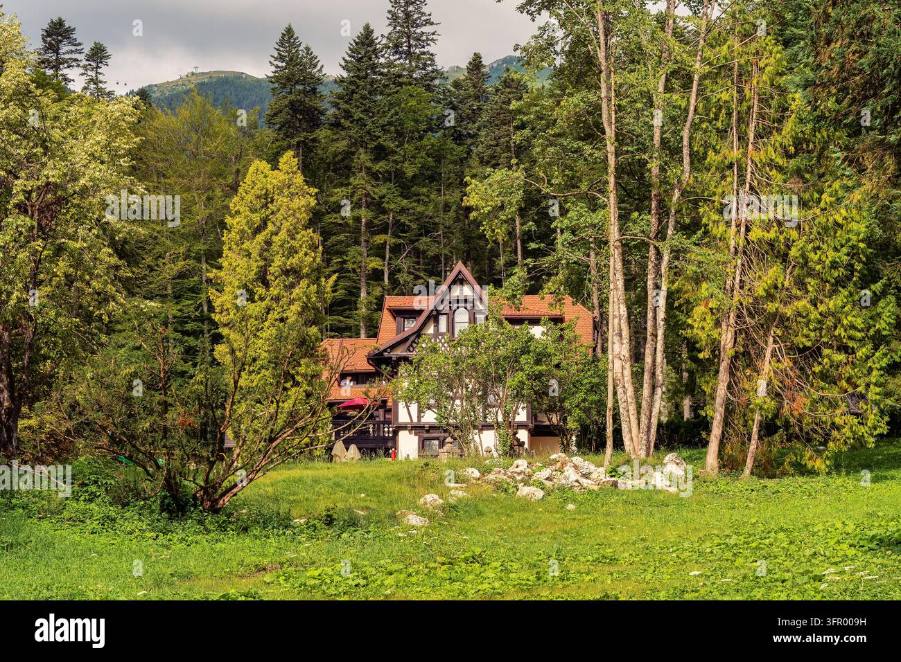 Historisches Gebäude, das sich zwischen hohen Bäumen und grünen Rasenflächen in der Nähe des Pelișor-Schlosses in Rumänien befindet Stockfoto