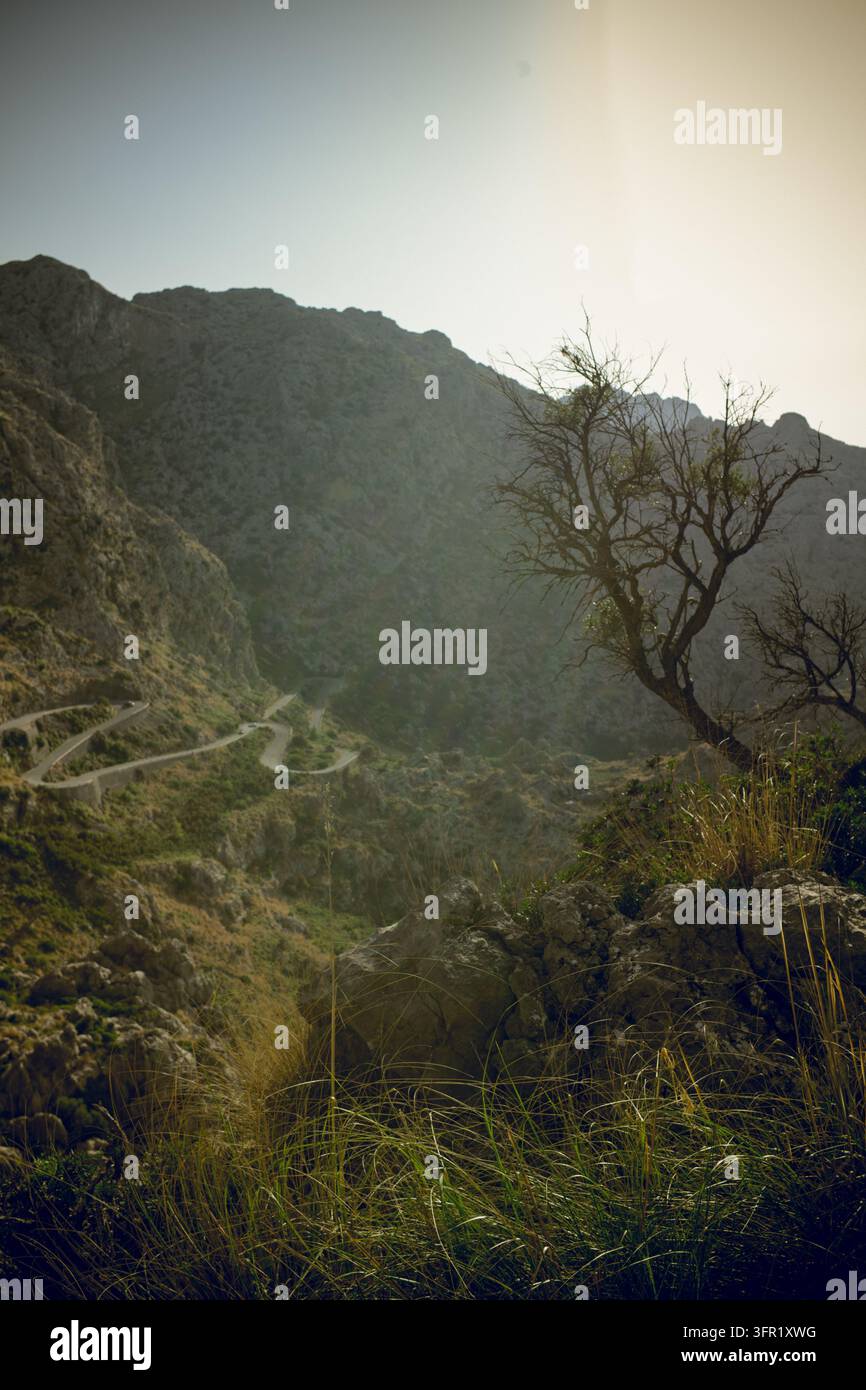 Eine Luftperspektive zeigt eine sich windende Bergstraße, die sich durch eine raue, felsige Landschaft in Mallorca, Spanien, schneidet. Die Szene ist in warmes, diffuses Licht getaucht Stockfoto