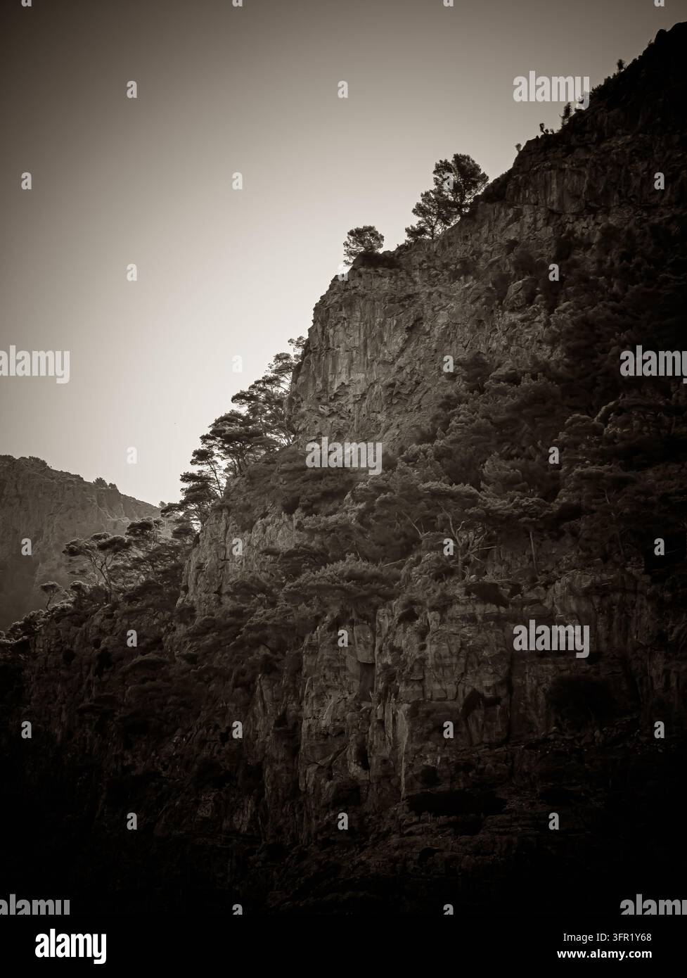 Ein eindrucksvolles sepiafarbenes Foto, das die raue Berglandschaft von Mallorca, Spanien, zeigt. Kiefern halten sich an den steilen, strukturierten Felsen Stockfoto