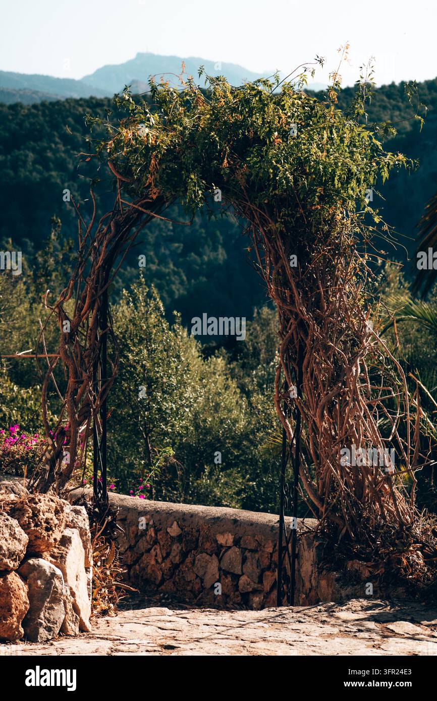 Eine Nahaufnahme, die eine rustikale Steinmauer mit einem von Wein überwucherten Torbogen einfängt, möglicherweise ein Eingang oder ein dekoratives Gartenelement. Das Setting ist ein helles, Stockfoto