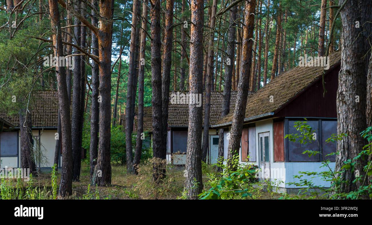 Verwitterte Hütten im Bungalow-Stil stehen zwischen Kiefern in der Nähe der Lienewitzseeallee in Michendorf, Brandenburg, Deutschland. Stockfoto