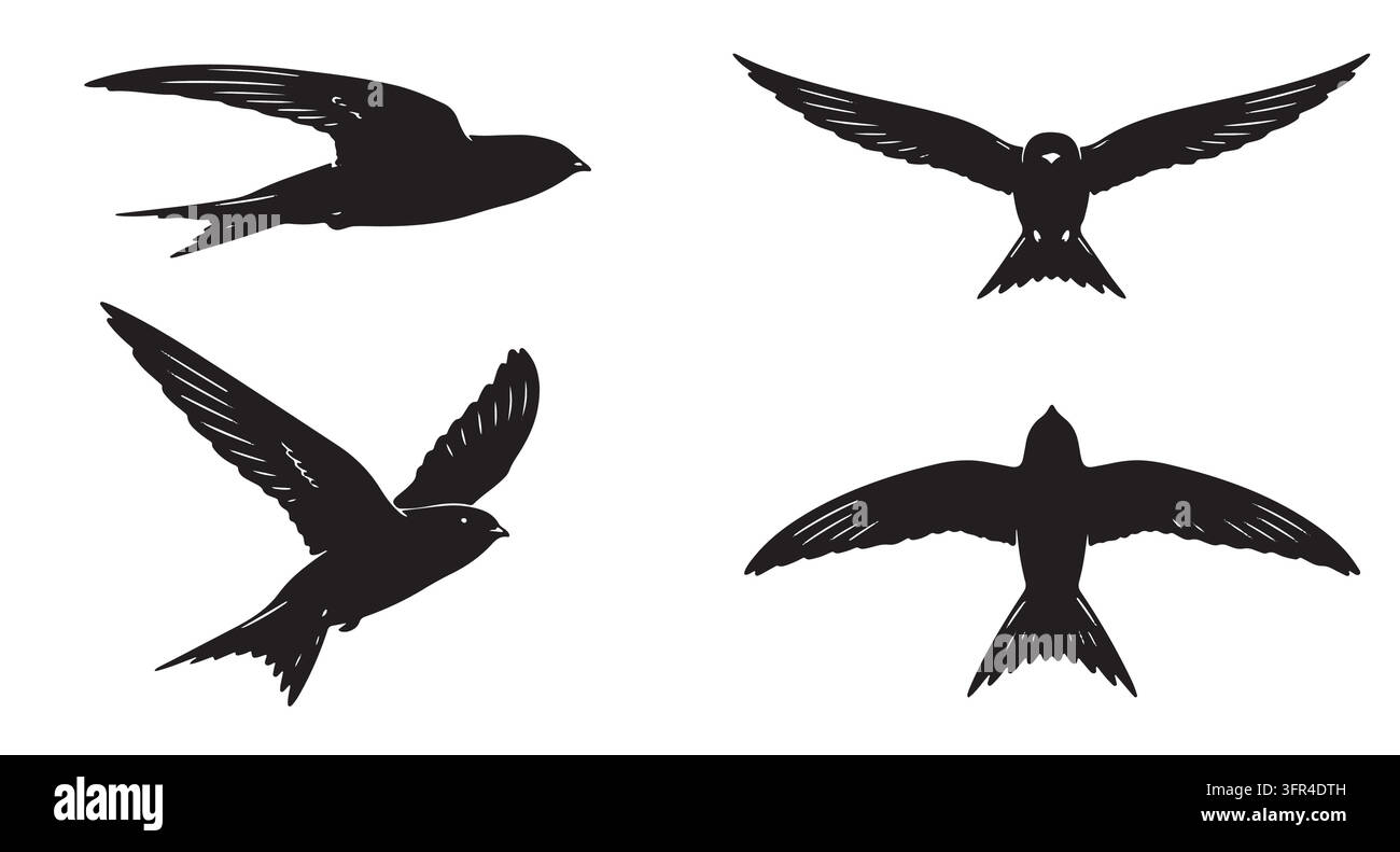 Gruppe von fliegenden Schwalben-Silhouetten in verschiedenen Flugmustern Stock Vektor