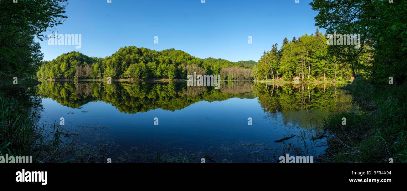 Panoramablick auf den Trakošćan-See, der grüne bewaldete Hügel in ruhigem blauem Wasser widerspiegelt, umgeben von dichtem Frühlingslaub Stockfoto