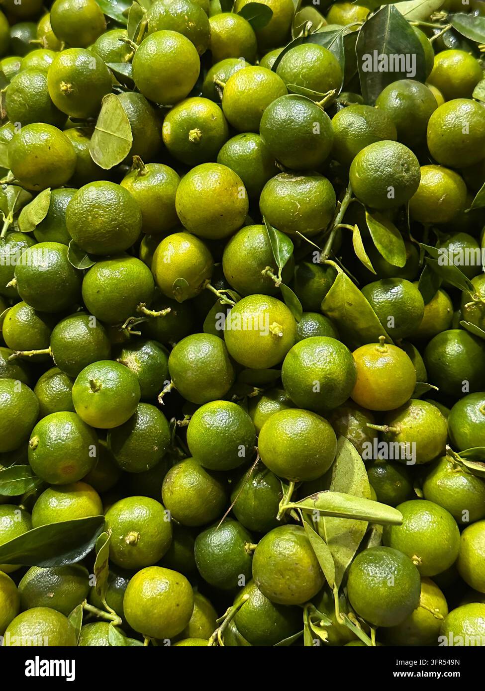 Frische grüne Limetten mit Blättern, auf einem Marktstand gestapelt, Oberblicks-Food-Hintergrund. - Smartphone-aufgenommenes Stockfoto