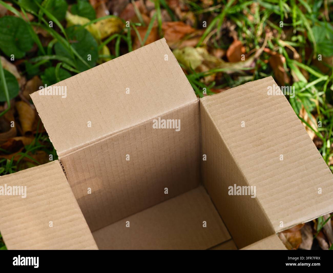 Ein offener leerer Karton, der auf einem grasbewachsenen Boden platziert ist, der mit Herbstblättern bedeckt ist. Stockfoto