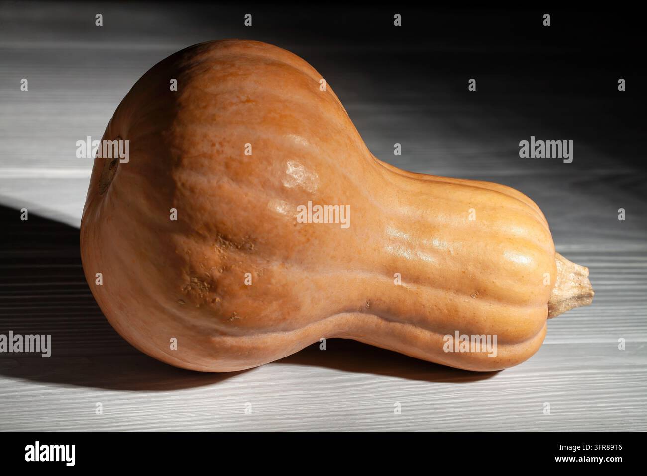 Butternusskürbis auf grauem Holzgrund Stockfoto