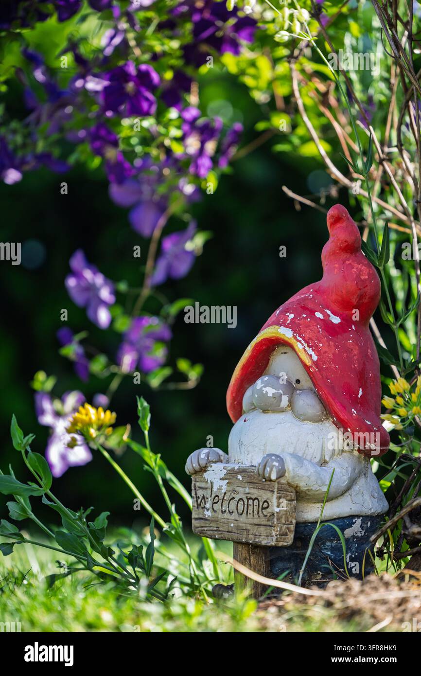 Ein verwitterter Gartenzwerg mit rotem Hut hält ein hölzernes Willkommensschild, das zwischen violetten Blumen und grünem Laub versteckt ist, gebadet in warmem Sonnenlicht für einen w Stockfoto