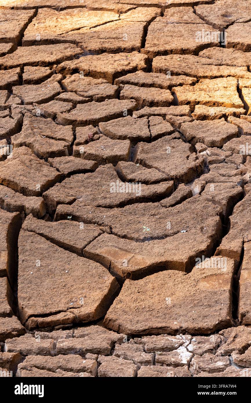 Trockener, rissiger Schlamm bedeckt den Boden in einem kunstvollen natürlichen Muster, Menabe, Tsiribihina, Madagaskar Stockfoto