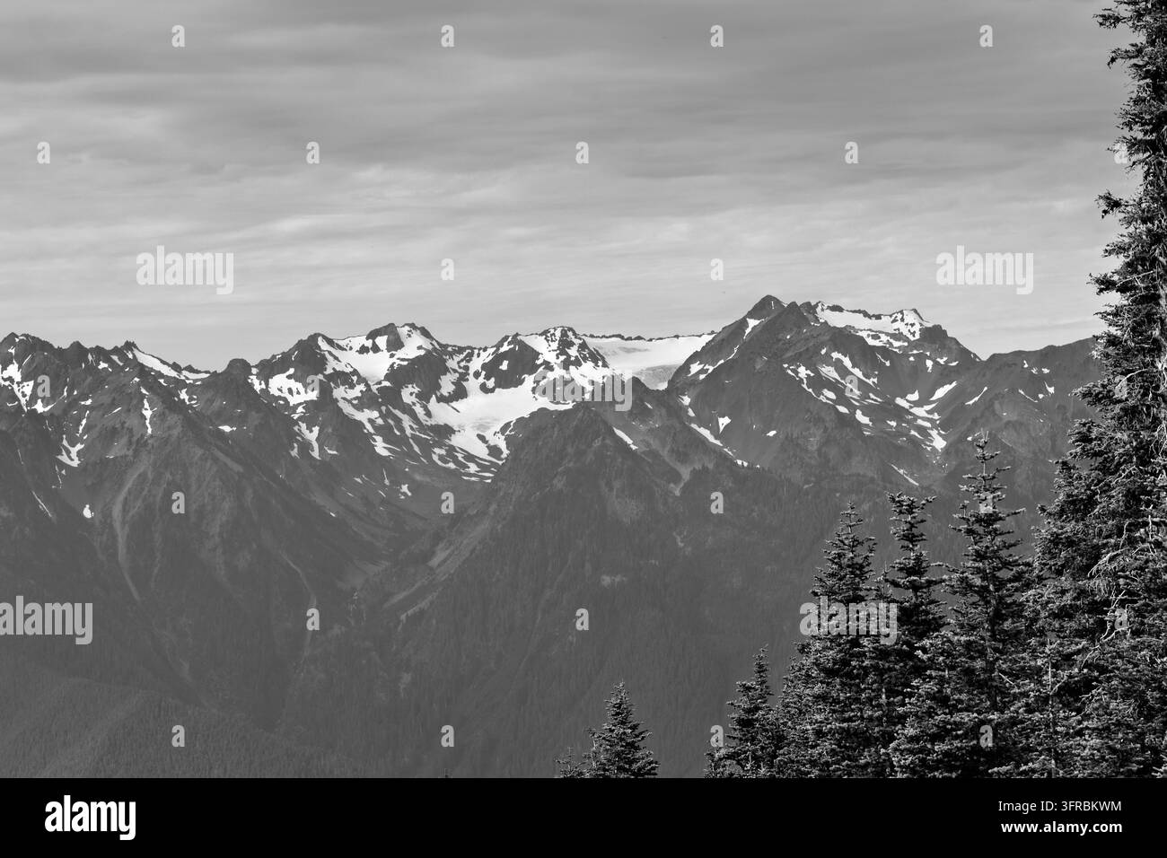 Schneebedeckte Olympischen Berge und immergrüne Wälder, gesehen vom Hurricane Ridge im Olympic Nationalpark, Washington. Stockfoto