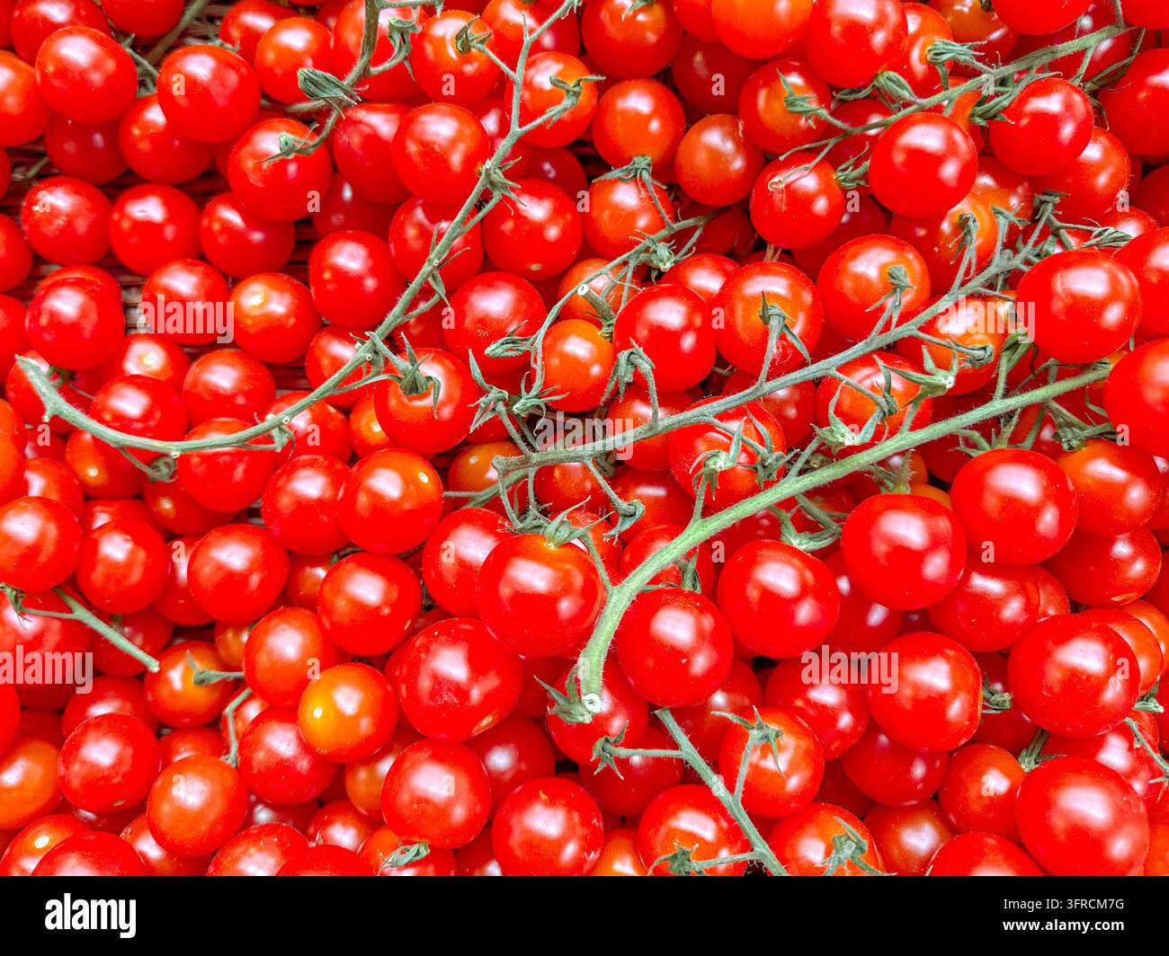 Nahaufnahme von reifen süßen Kirschtomaten auf einem Marktstand. Keine Menschen. - Smartphone-aufgenommenes Stockfoto
