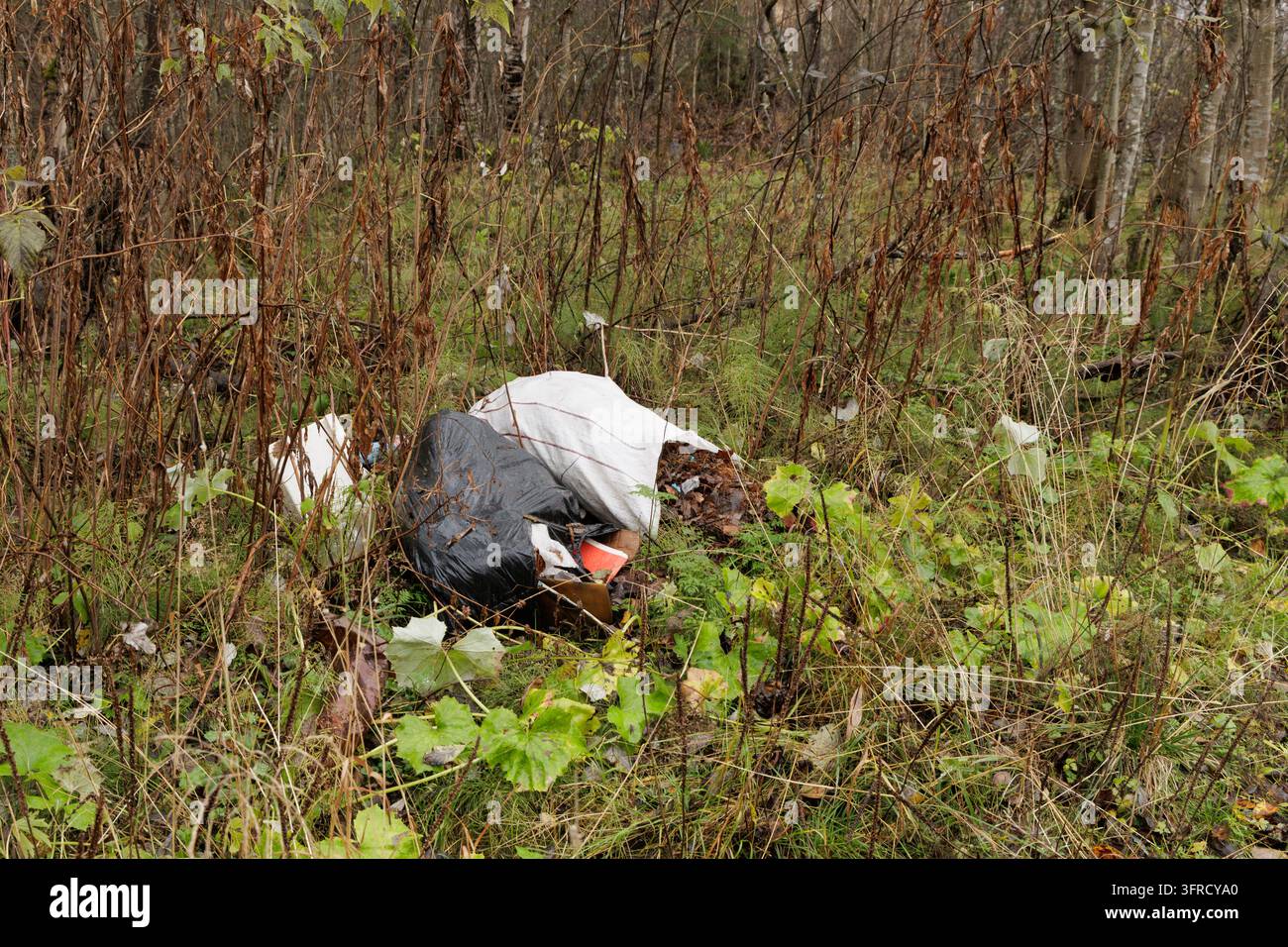 Illegale Entsorgung von Müllsäcken, die grüne Natur und Wildnisumgebung, die von nachlässigen Touristen zurückgelassen wurde, verschmutzen. Stockfoto