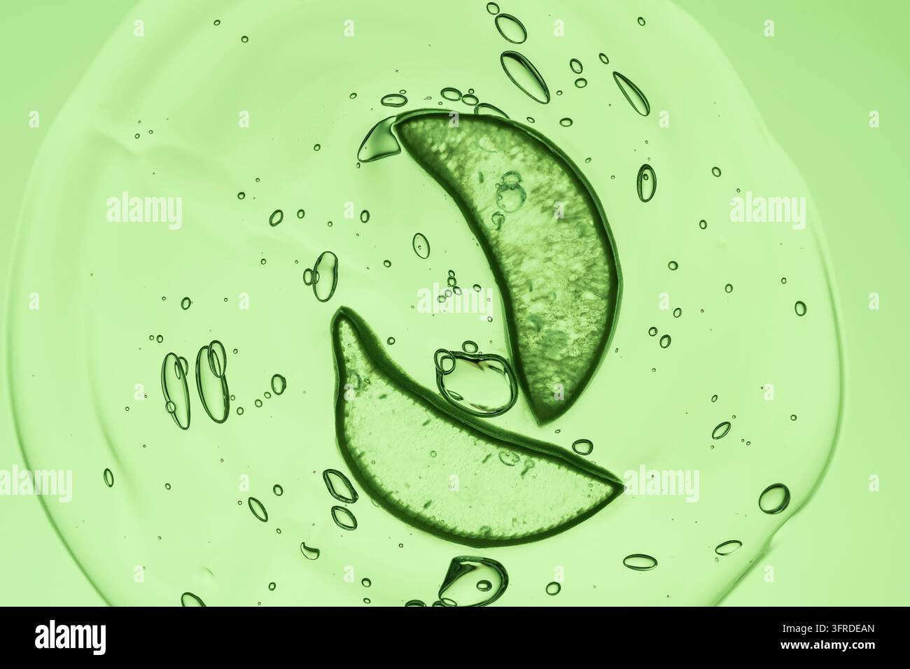 Petrischale mit Aloe-Vera-Kosmetikgel und Stücken der Aloe-Vera-Pflanze. Kosmetiklabor-Konzept. Natürliche Hautpflegeprodukte Stockfoto