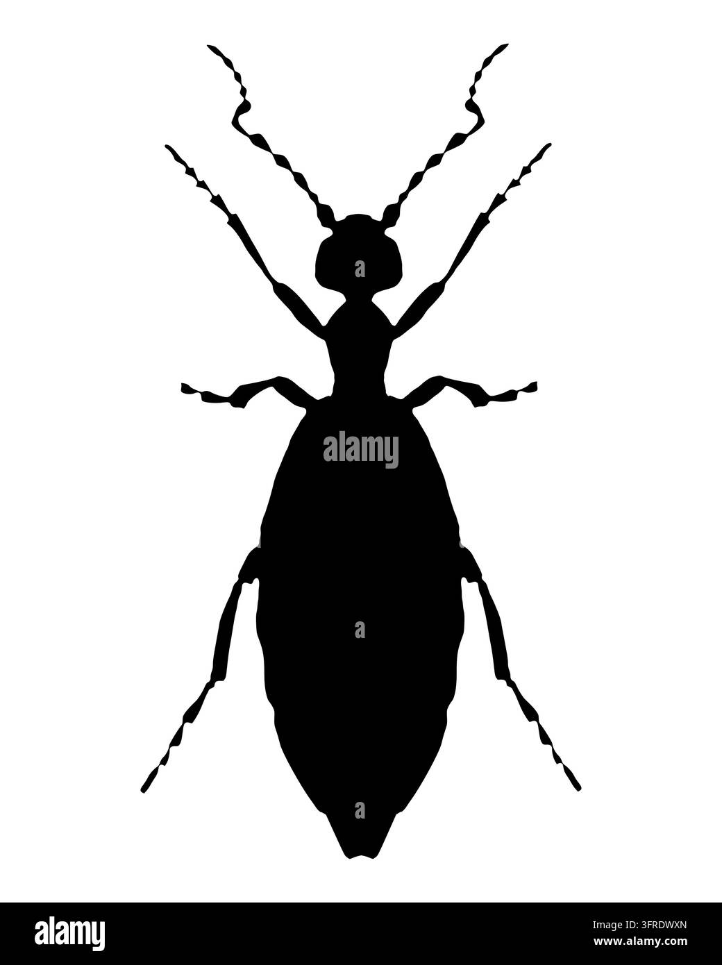 Schwarze Silhouette eines Ölkäfers auf weiß Stockfoto