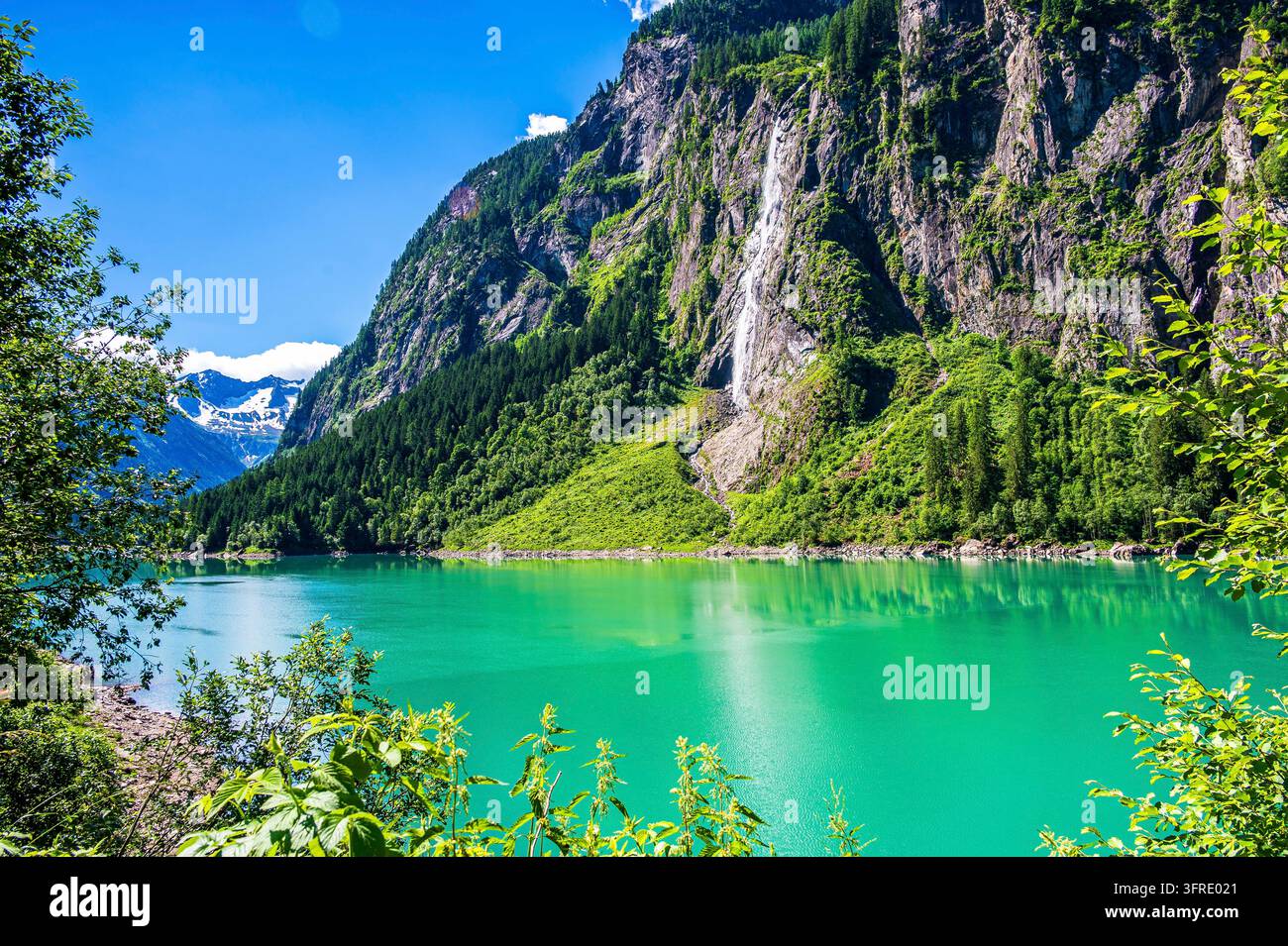Türchtes Wasser des Stausees Stillup im Zillertal bei Mayrhofen, Tirol, Österreich. Steile felsige Berghänge, bedeckt mit grünem Forst Stockfoto