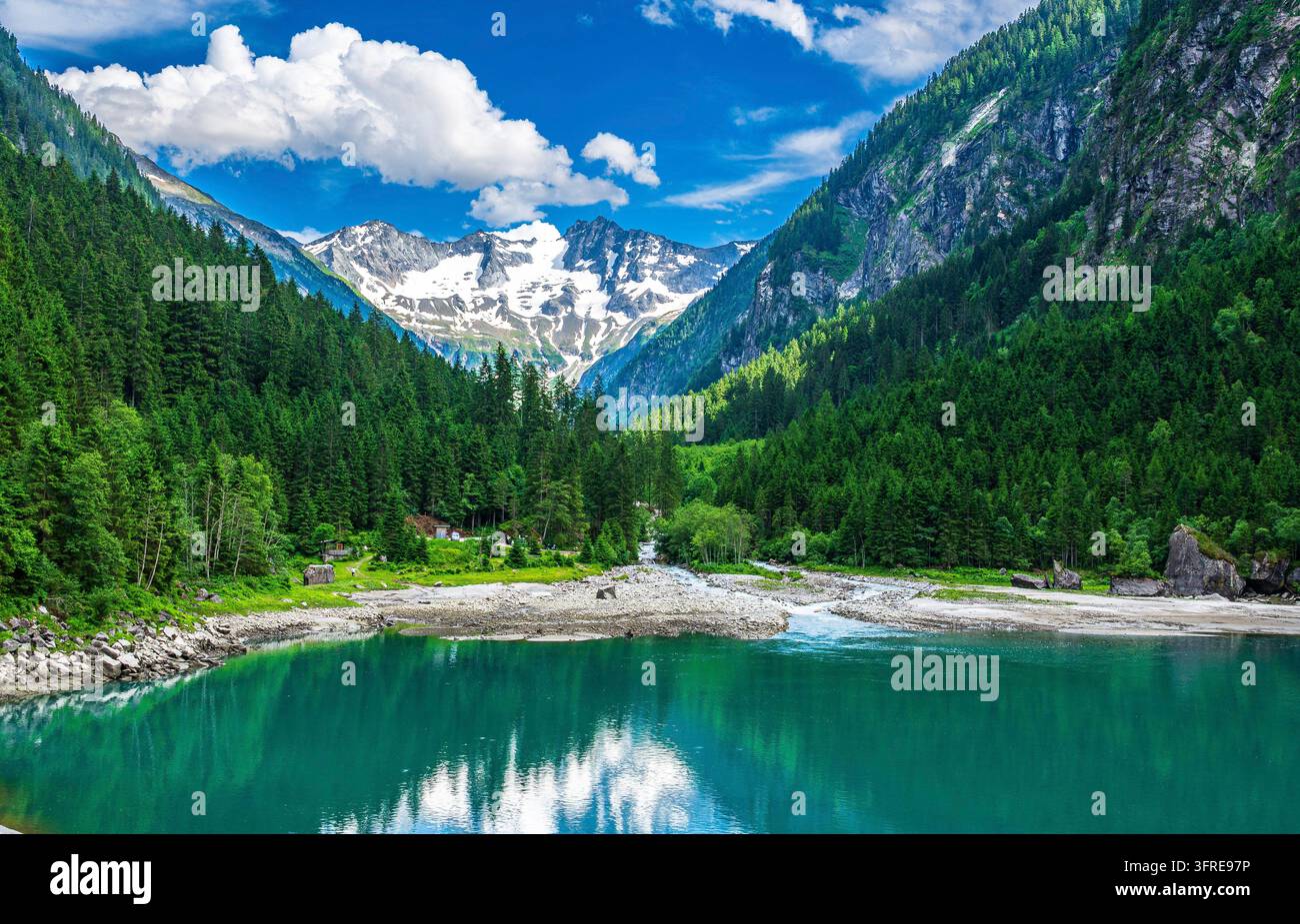 Türbliches alpines Stauseebecken Speicher Stillup nahe Mayrhofen im Zillertal, Österreichische Alpen, Österreich. Schneebedeckte Gipfel erheben sich über dichten immergrünen Wald Stockfoto