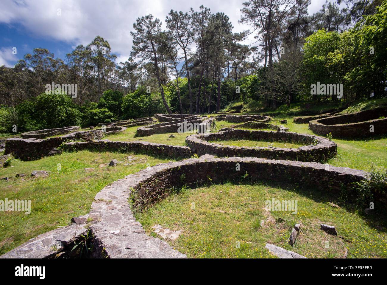 Alte Steinhäuser zwischen Kiefern und grünen Bäumen unter einem bewölkten Himmel im Castro de Borneiro, einem Hügelfort aus der Eisenzeit in Cabana de Bergantiños, A Coruña Stockfoto