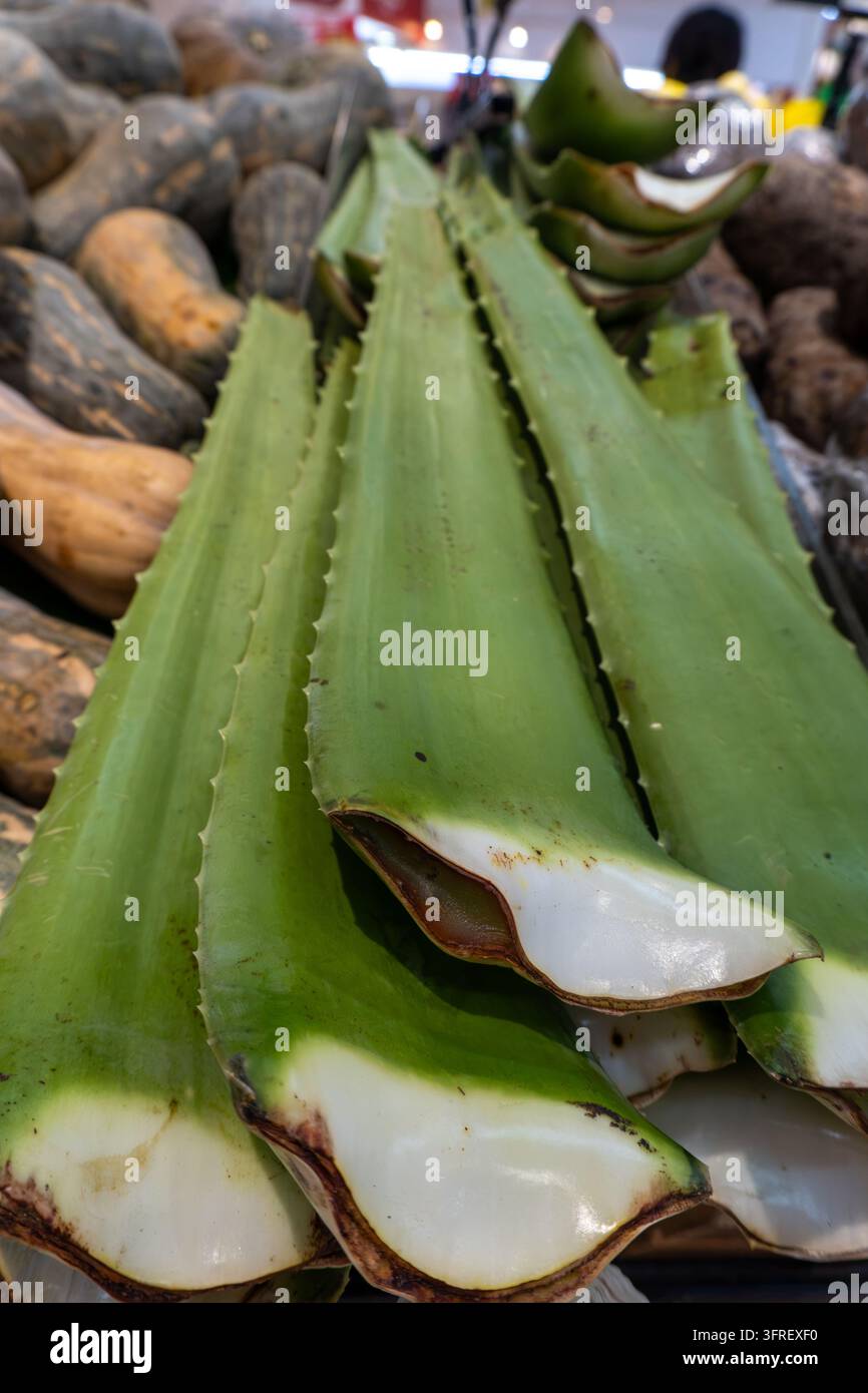 Dicke Aloeblätter mit gezackten Rändern und geschnittenen Enden sind auf einer Marktauslage in Da Lat, Vietnam, angeordnet. Stockfoto