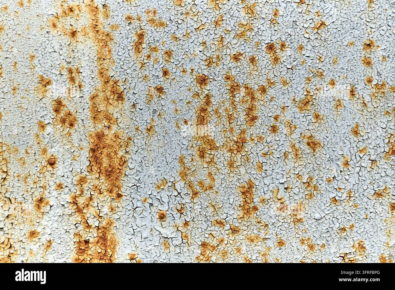 Eine detaillierte Nahaufnahme einer gealterten Metalloberfläche, die ein strukturiertes Muster aus abblätternder weißer Farbe und erheblichen Flecken von orange-braunem Rost zeigt. Der Riss Stockfoto