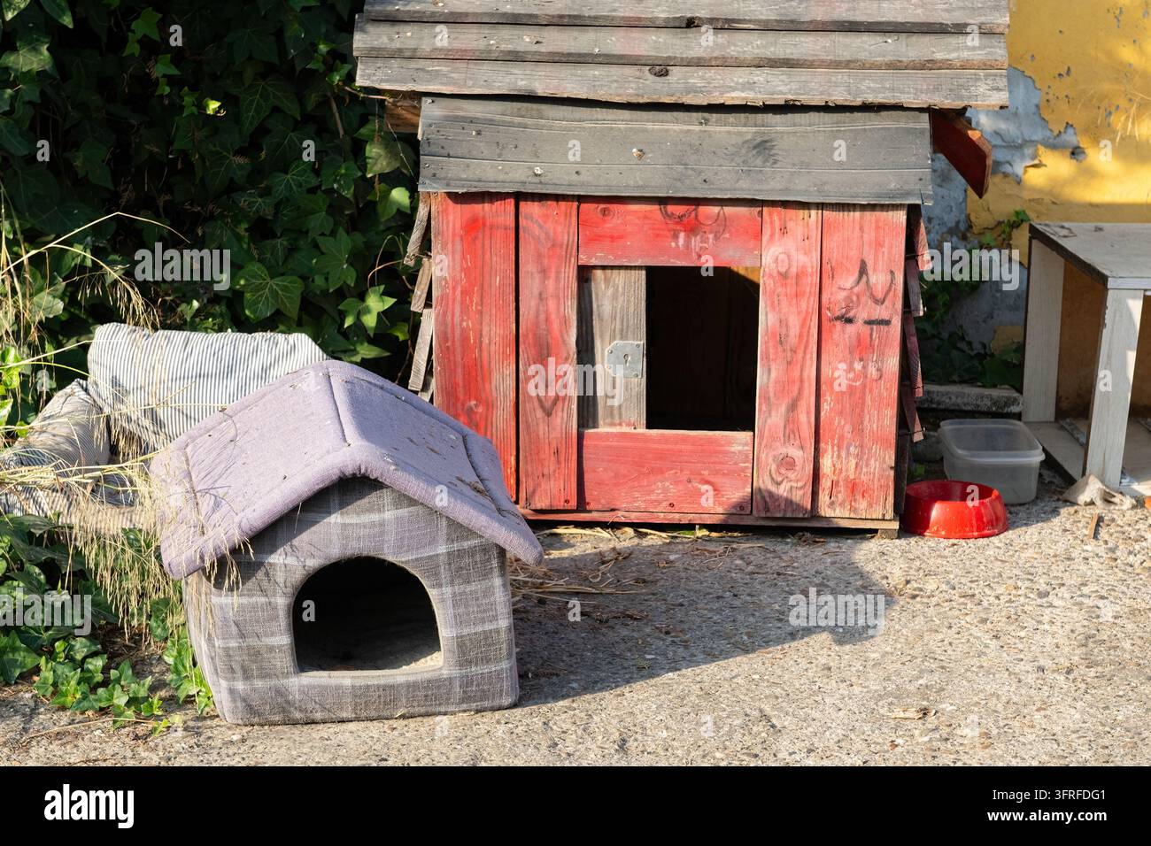 Ein roter Holzschuppen und Haustierhäuser aus grauem Stoff stehen nebeneinander im Garten. Stockfoto