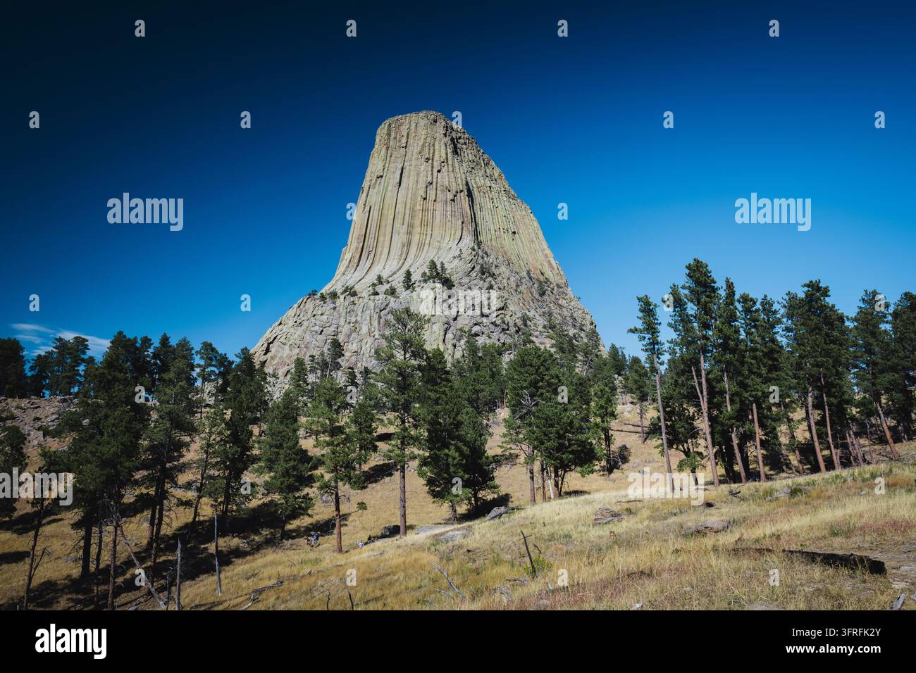 Grasesland und Bäume am Teufelsturm Stockfoto