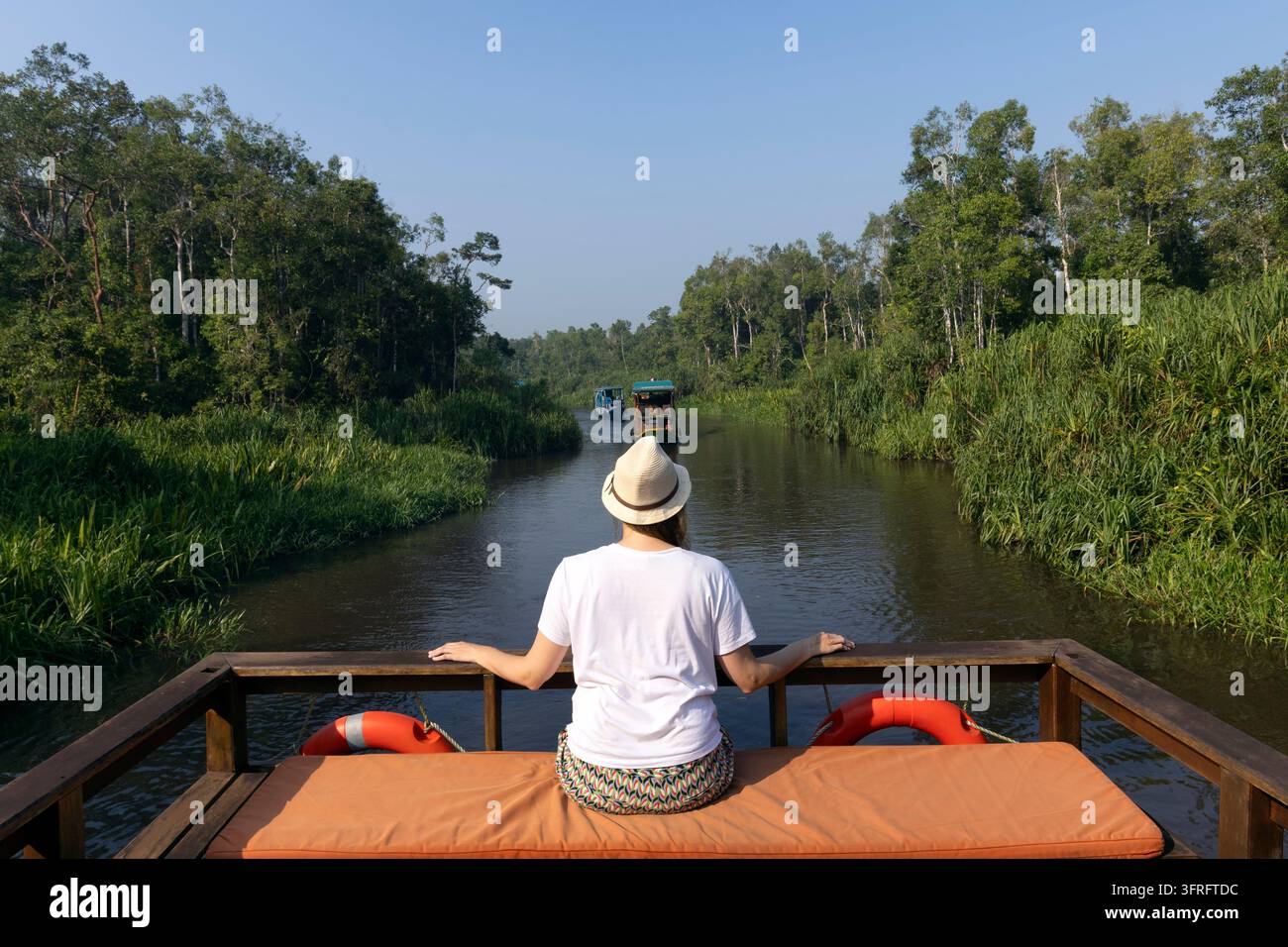 Ein indonesisches *klotok*-Boot navigiert einen Dschungel-Fluss. Eine Touristin sitzt auf dem Boot und blickt zum Heck. Undurchdringliche Baumgruppen und l Stockfoto