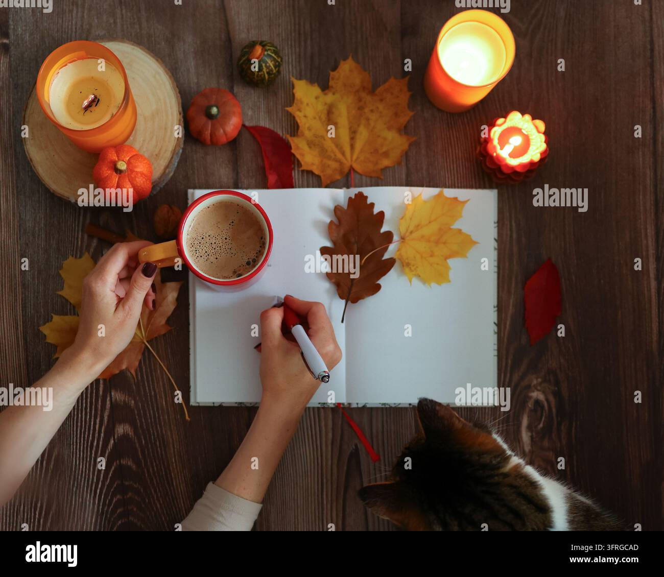 Achtsames Journaling neben Kaffee und Herbstdeko, ein Konzept für Selbstreflexion, persönliches Wachstum und psychisches Wohlbefinden. Stockfoto