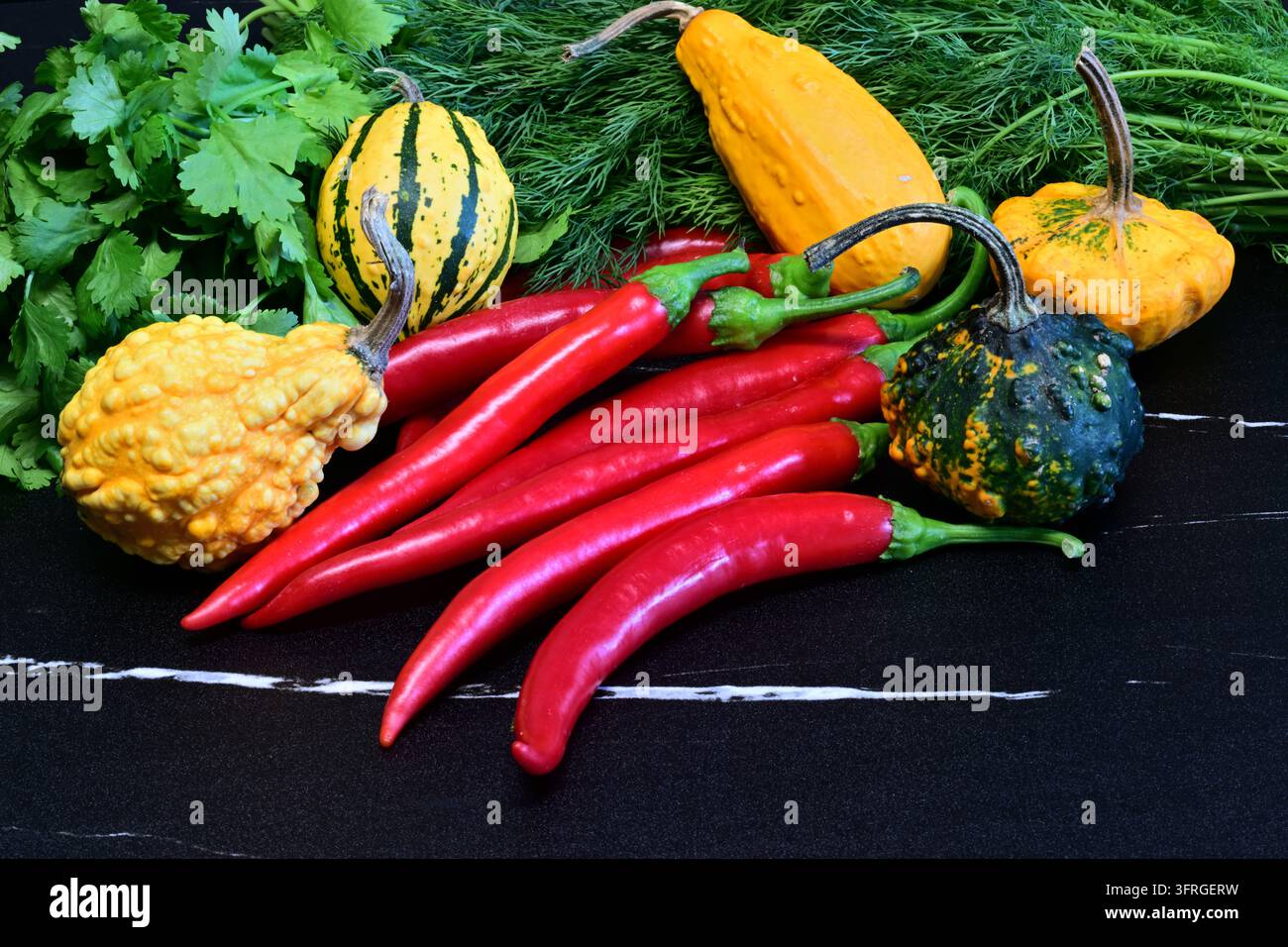Rote Chilischoten, Dill, Koriander und dekorative Kürbisse auf schwarzem Hintergrund Stockfoto