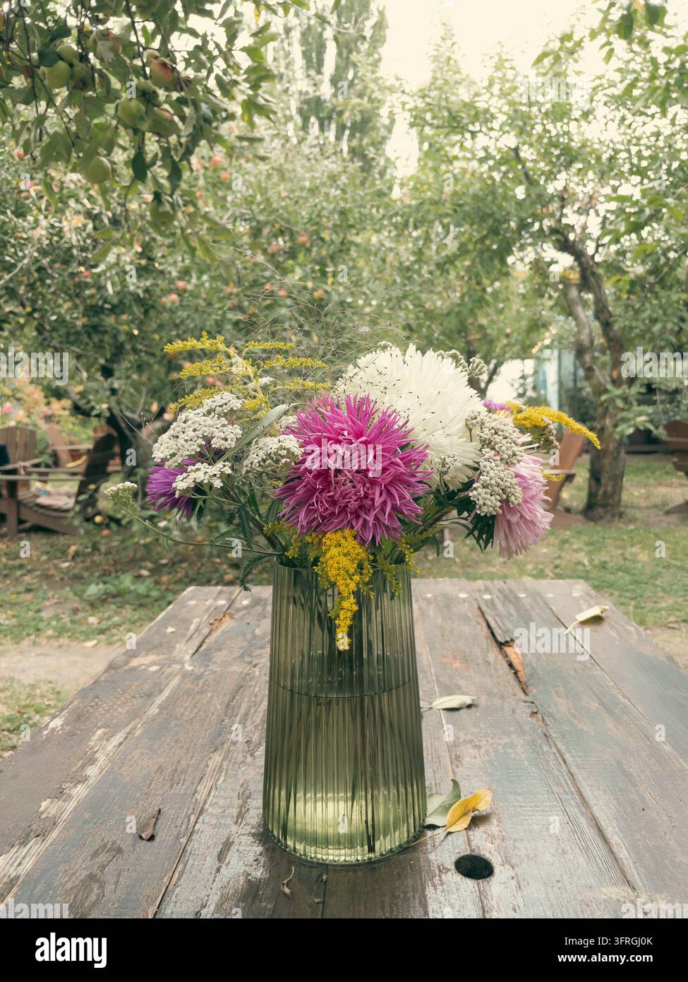 Frisches Herbstbouquet aus Astern und Wildblumen in einer Glasvase im Freien - Smartphone-aufgenommenes Stockfoto