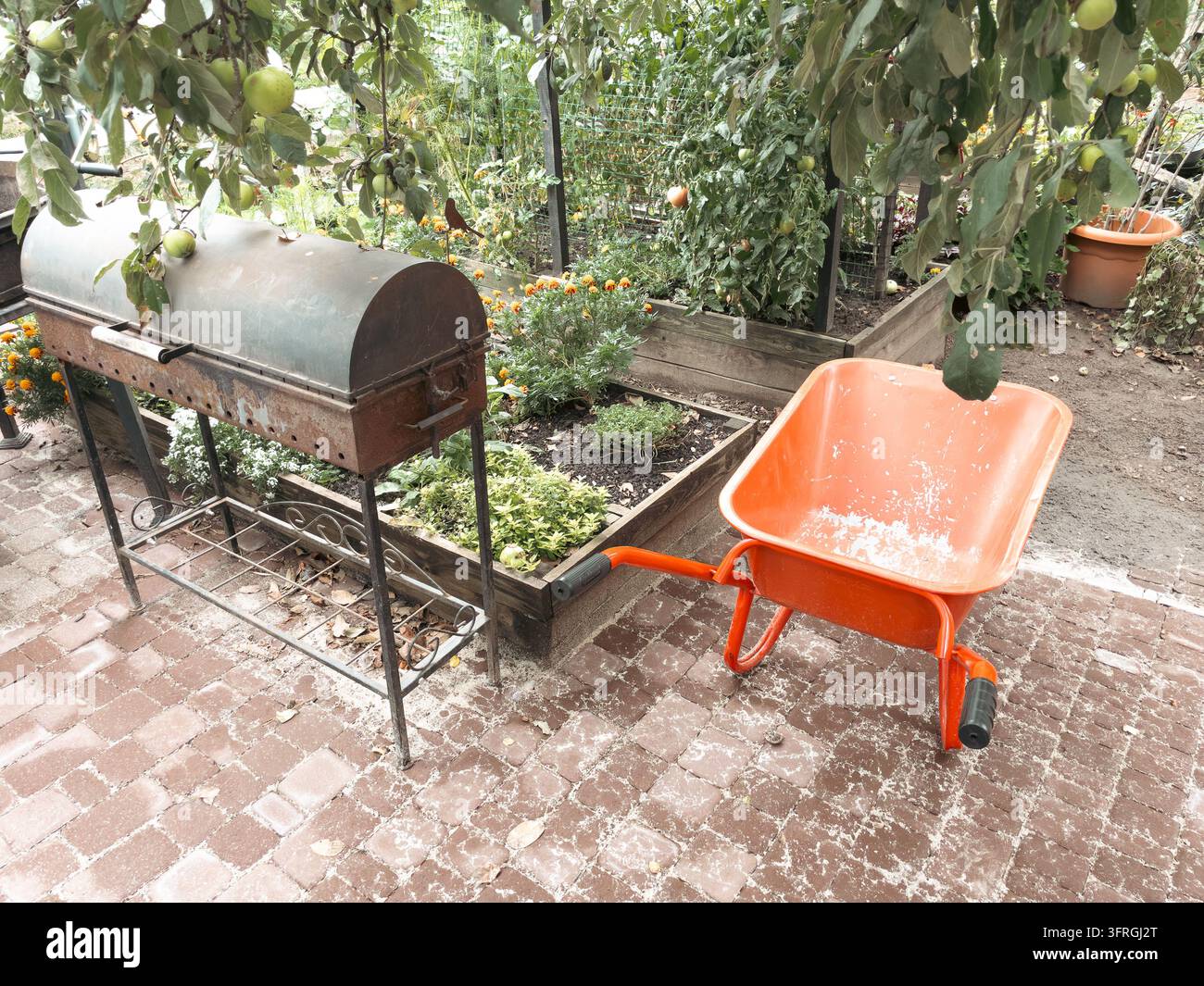 Orangene Schubkarre und Metallgrill im Hinterhofgartenbereich - Smartphone-aufgenommenes Stockfoto