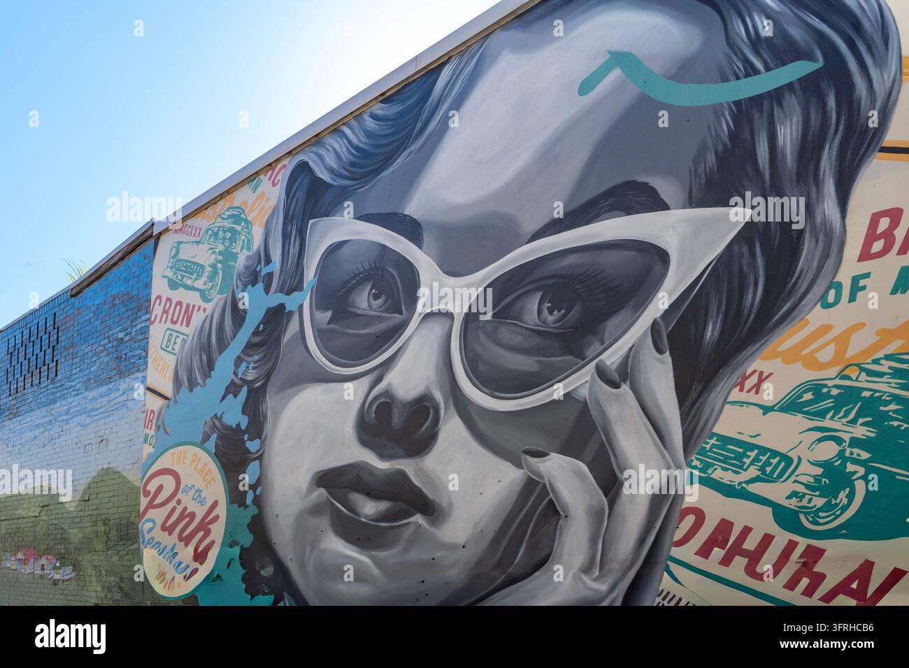Der Ort der rosa Muschel-Street Art von Alex Lehours, Cronulla, NSW, Australien Stockfoto