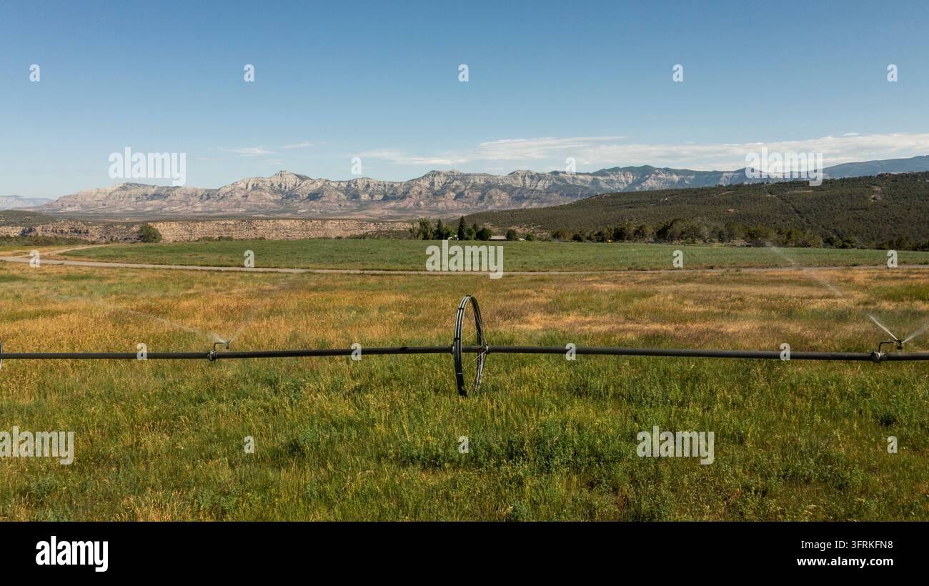 Zentralschwenkbewässerung bewässert ein sonniges Feld Stockfoto
