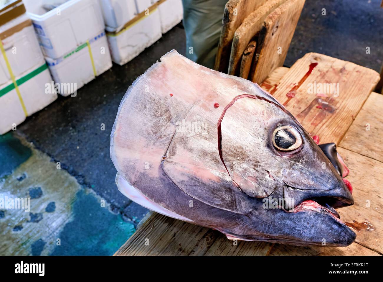 Abgetrennter Kopf eines großen Thunfischs mit frischem Blut auf einem Schneideblock neben Polystyrol-Garnkästen auf dem Fischmarkt in Tokio Stockfoto