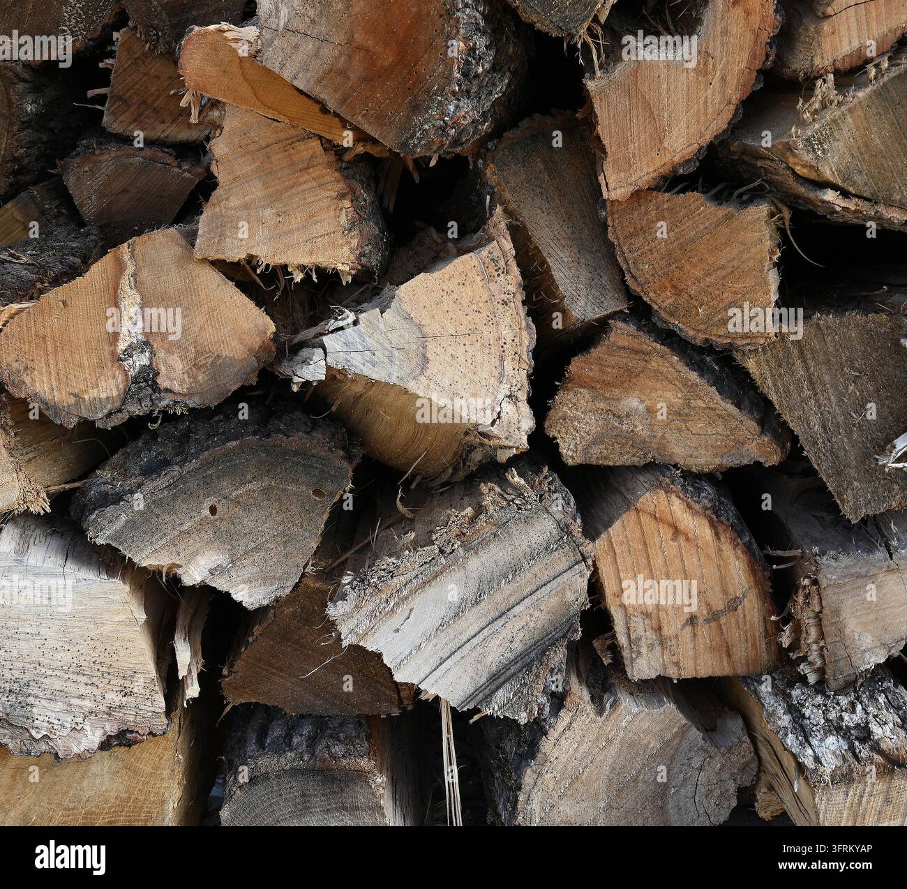 Ein Holzstapel mit gespaltenen dreieckigen Endscheiben, rauen, porösen Fristholzoberflächen, sichtbaren Astknoten und Rinde sowie ungleichmäßig gestapelten Richtungen Stockfoto