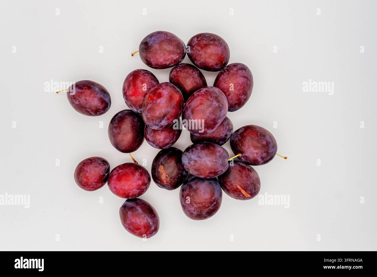 Frische violette Pflaumen, locker aufgehäuft auf hellem weißem Hintergrund, zeigen glatte Schalen, satte rotviolette Töne, kleine Stiele Stockfoto
