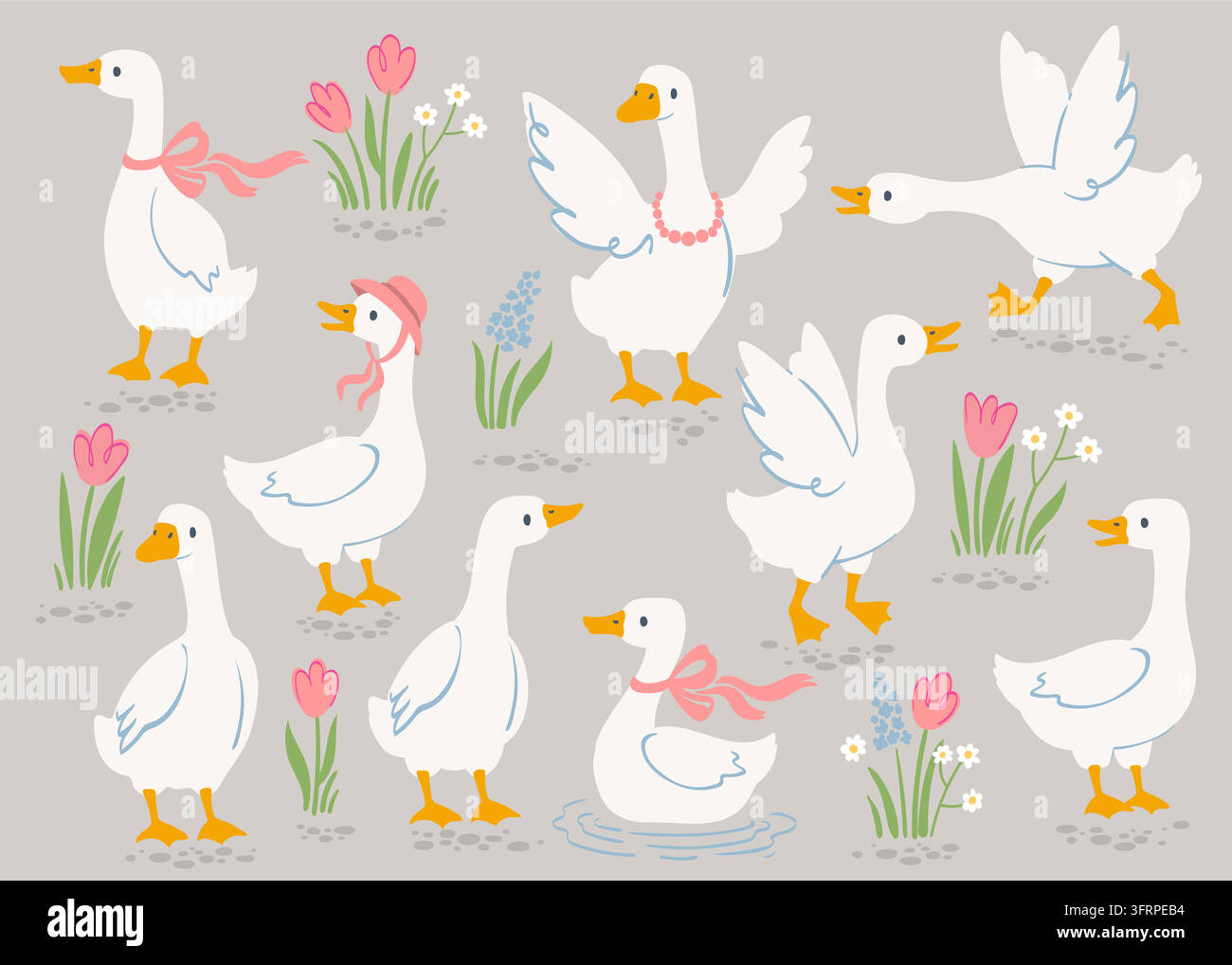 Niedliches weißes Gänse-Vektor-Illustrationsset, niedliche Bauernhofvögel mit rosa Bändern und Frühlingsblumen, Tulpen auf grauem Hintergrund Stock Vektor