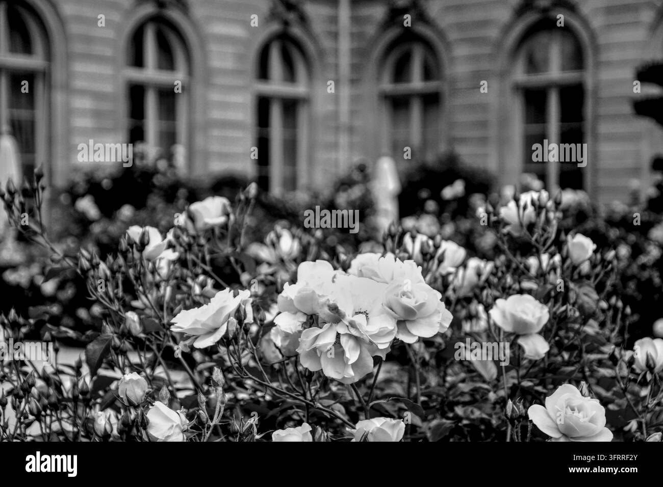 Paris, Frankreich - Mai 31. 2014 : Blick auf den Elysée-Palast, die offizielle Residenz des Präsidenten der Französischen Republik, aus den Gärten. Stockfoto