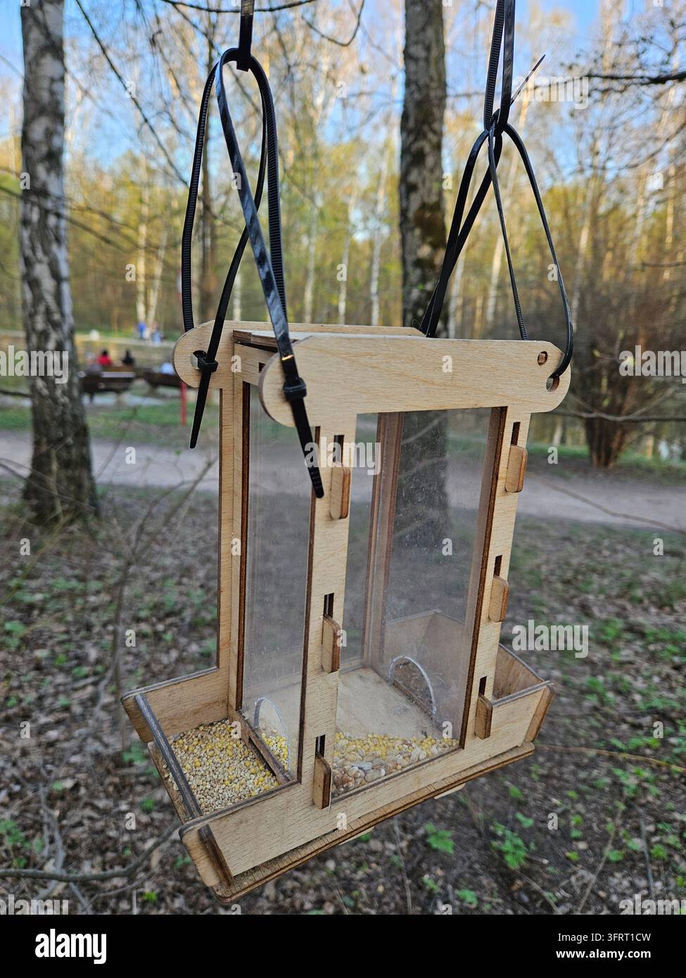 Vogelhäuschen, das an einem Baum hängt. Der Futterspender ist aus Holz und hat einen klaren Behälter Stockfoto