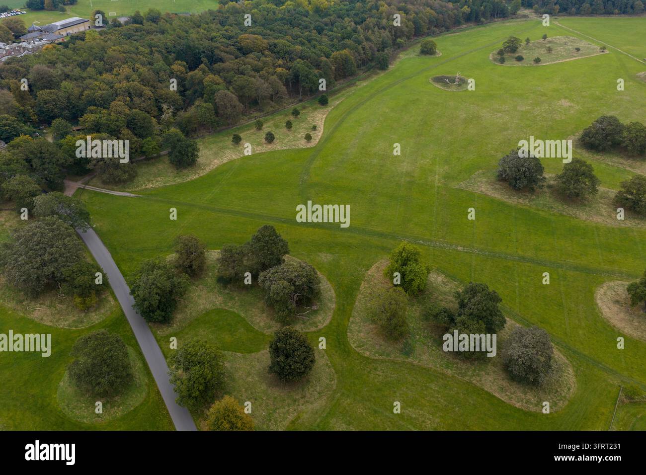 Erhöhte Drohnenaufnahme, die ein weitläufiges Grasfeld zeigt, das mit einzelnen Bäumen und kleinen Sträuchergruppen neben bewaldetem Parkland und einem Bach übersät ist Stockfoto