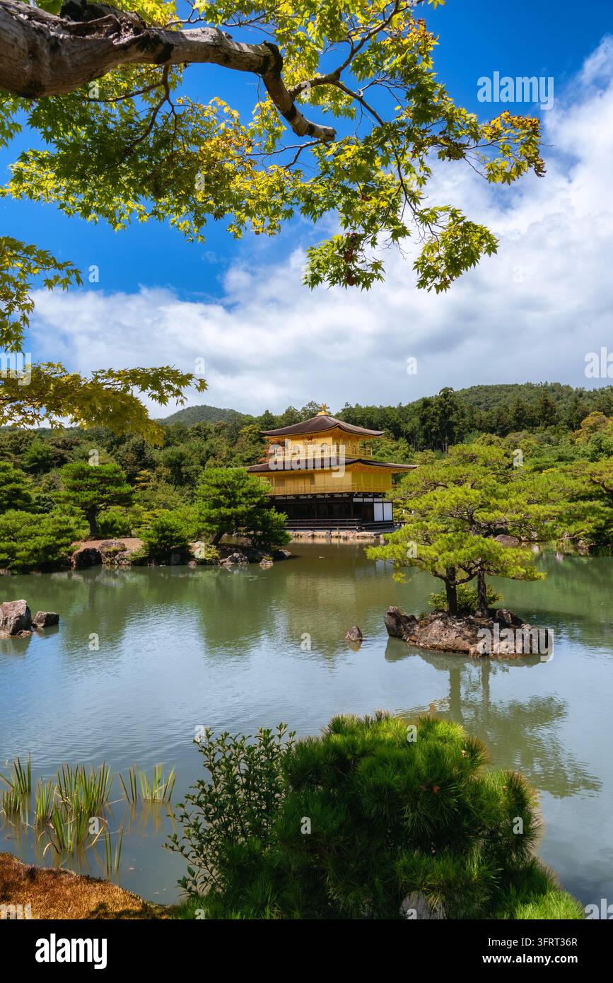 Vertikale Weitwinkelaufnahme eines ruhigen Zen-Gartens in Kyoto, Japan: ruhiger Teich und üppige Bäume umgeben den Goldenen Pavillon von Kinkaku-ji, der sich sanft im Wasser spiegelt Stockfoto