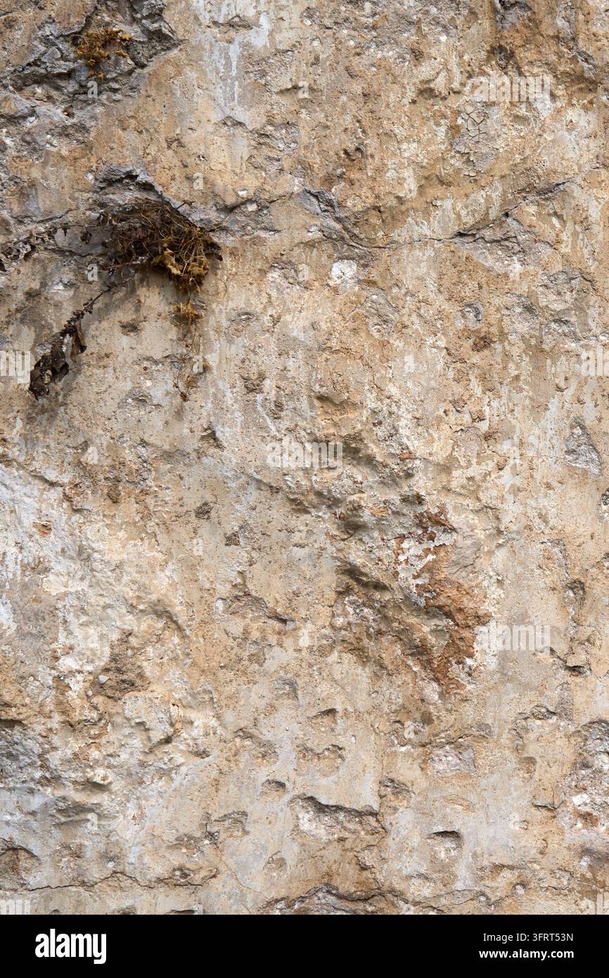 Verwitterte Kalkstein- und Gipswandtextur mit rustikaler gealterter architektonischer Oberfläche Stockfoto