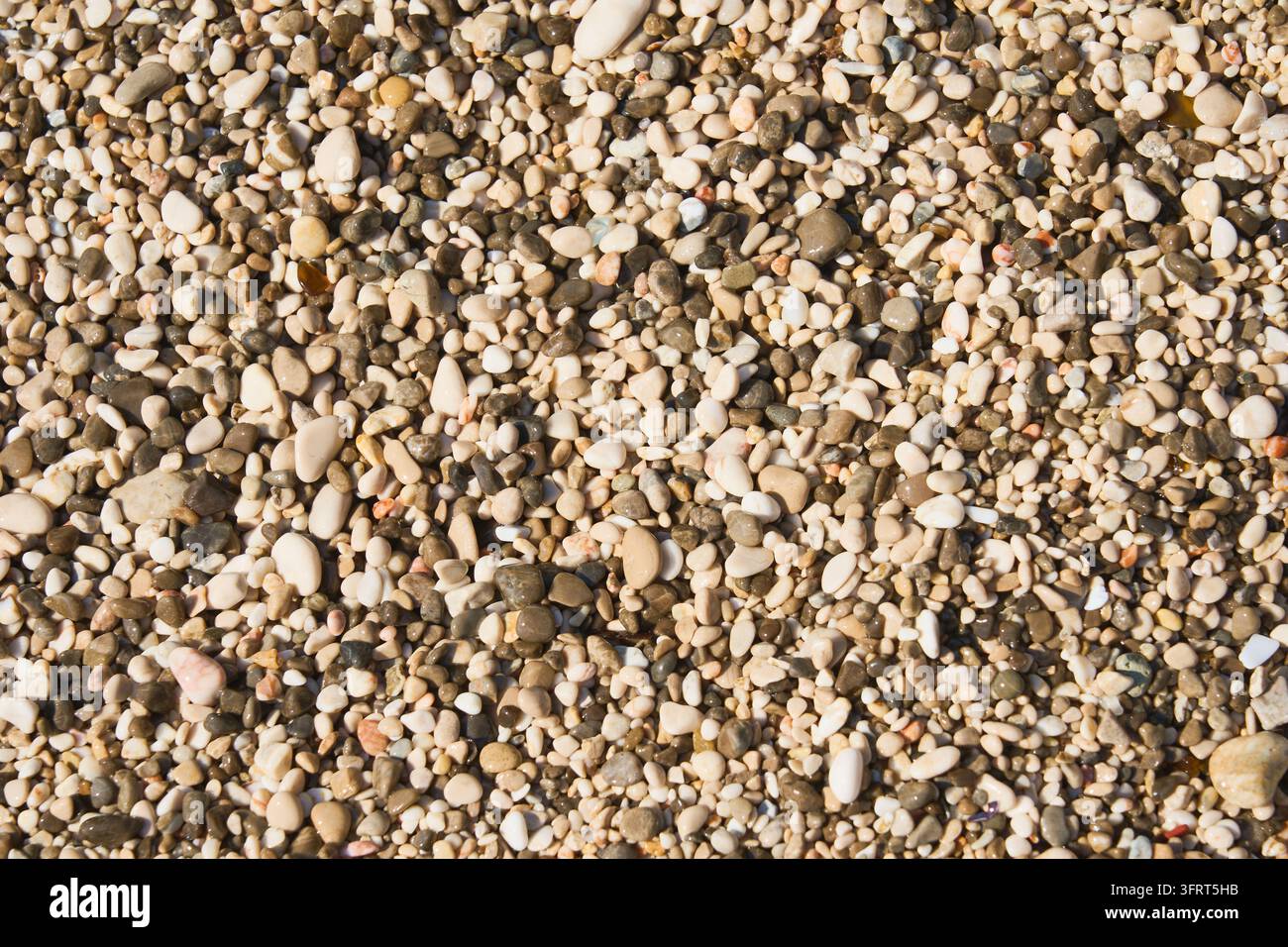 Natürlicher Pebble-Beach-Hintergrund mit glatten Küstensteinen und Meereskies-Muster Stockfoto