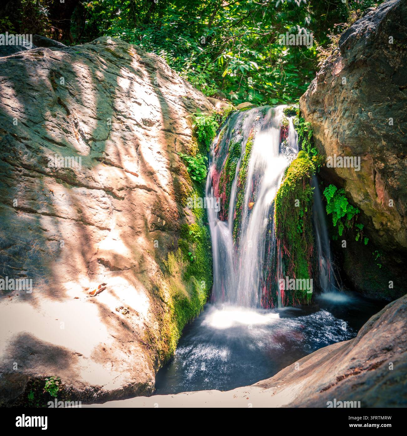 Nahaufnahme eines kleinen Wasserfalls, der über moosige Felsen in einem Bach in der Richtis-Schlucht auf Kreta, Griechenland, stürzt Stockfoto