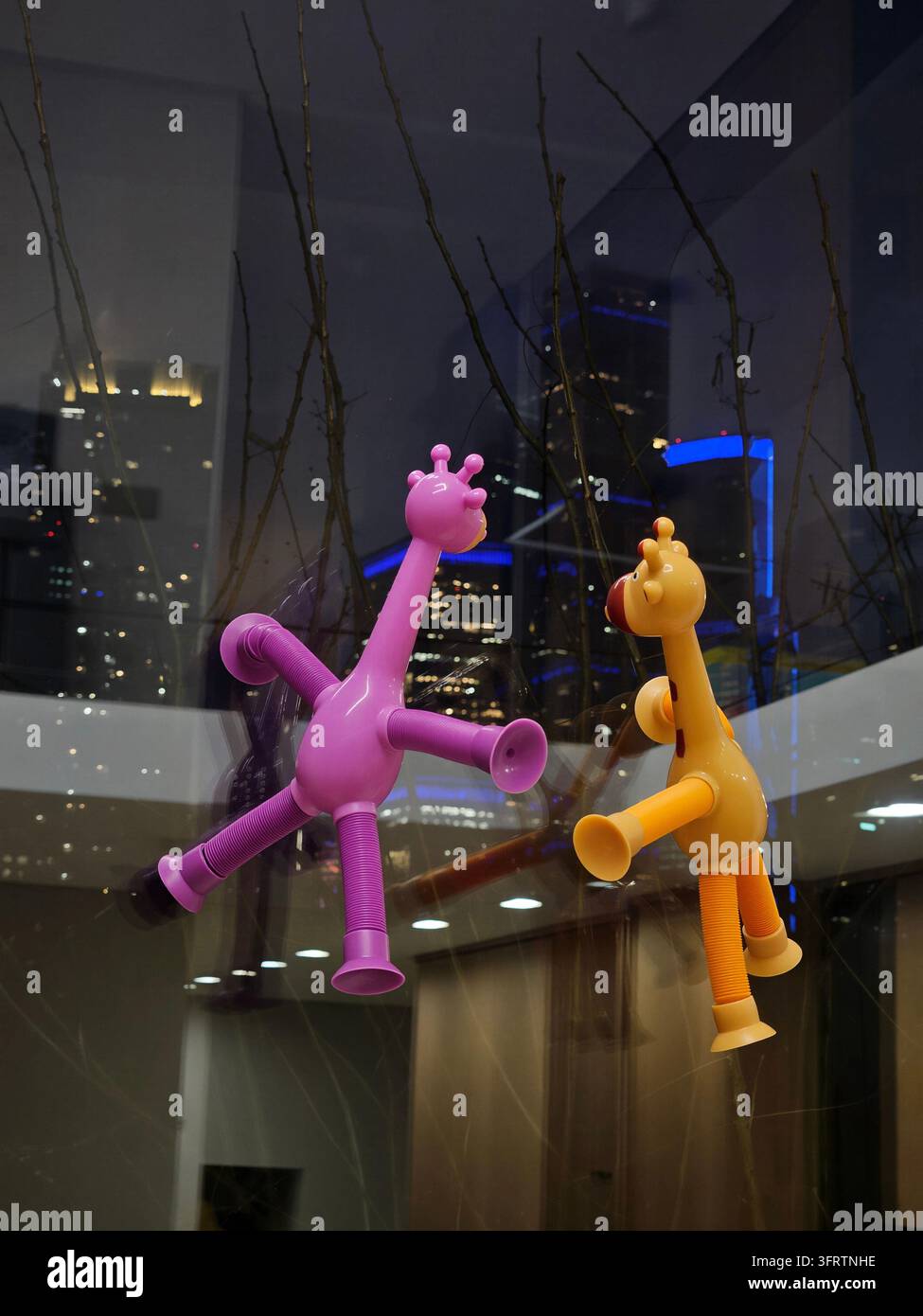 Moskau – 9. Nov. 2025: Rosa und gelbe Plastikgiraffenfiguren hängen in einer modernen Lobby. Sie baumeln in der Nähe einer Glaswand mit Stadtlichtern dahinter. Die Figuren haben lange Hälse und stilisierte Gliedmaßen. Eine hält eine Stockfoto