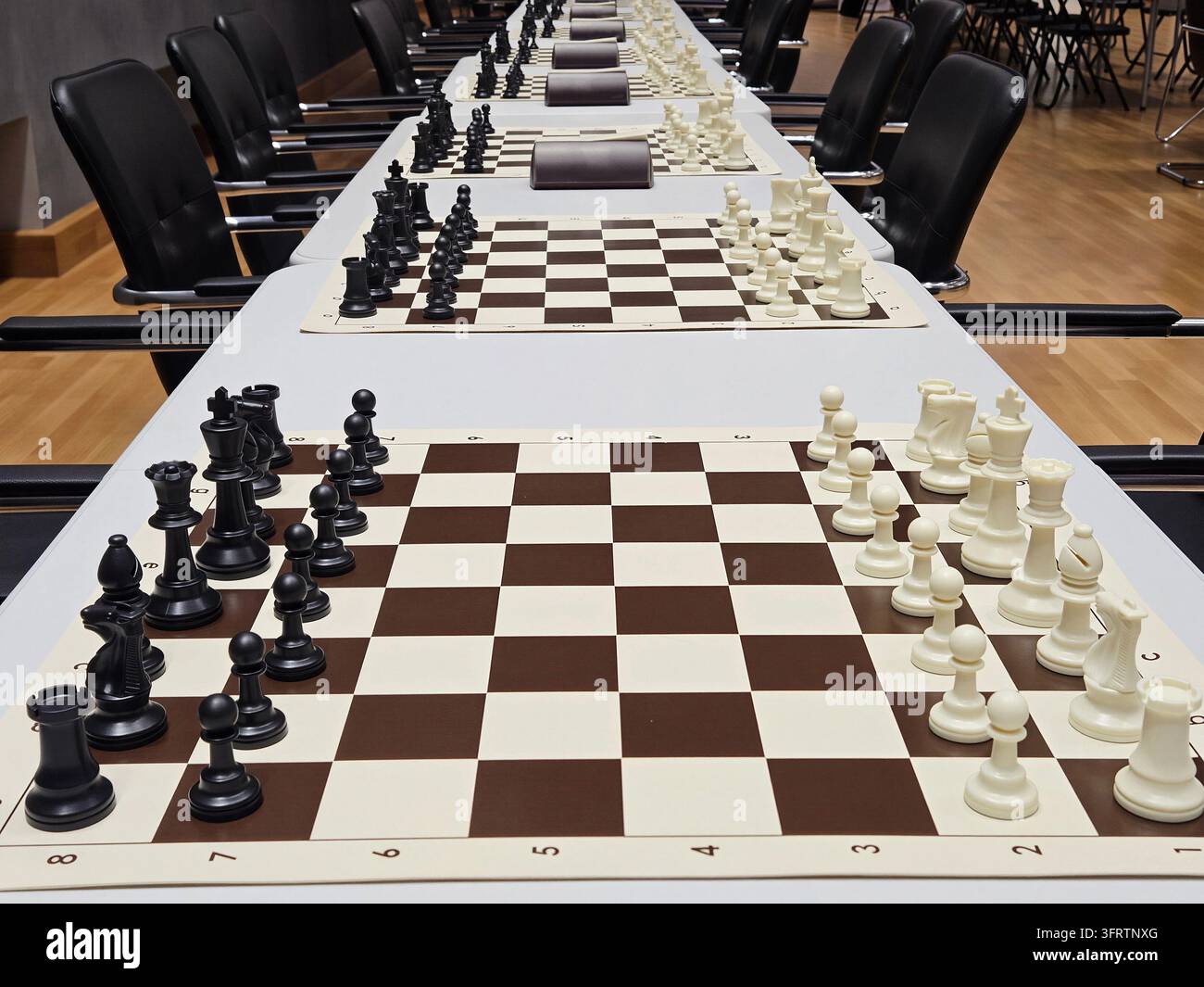 Schachbretter für den Wettkampf auf einem langen Tisch aufgestellt. Schwarze und weiße Figuren für das Spiel arrangiert. Stühle reihen sich am Tisch für die Teilnehmer. Spiel bereit für Turnier oder lockeres Spiel Stockfoto