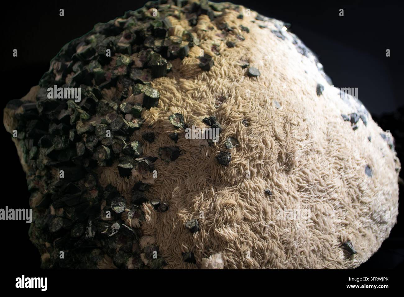 Mineralprobe mit dunkelgrünen prismatischen Kristallen, wahrscheinlich Epidot, auf cremefarbenen, strahlenden Stilbit-ähnlichen Kristallen; Fundort und genaue Identifizierung un Stockfoto