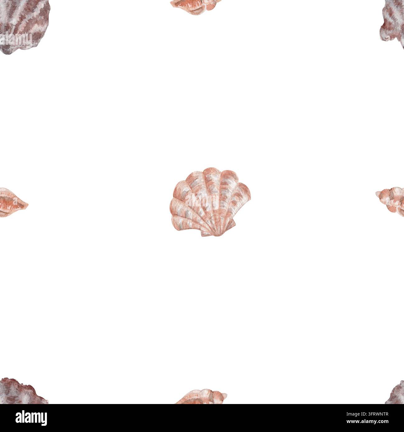 Aquarell-nahtloses Muster mit rosa und terrakottafarbenen Muscheln auf weißem Hintergrund. Minimales Küstendesign für Stoff, Tapete, Geschenkpapier Stockfoto