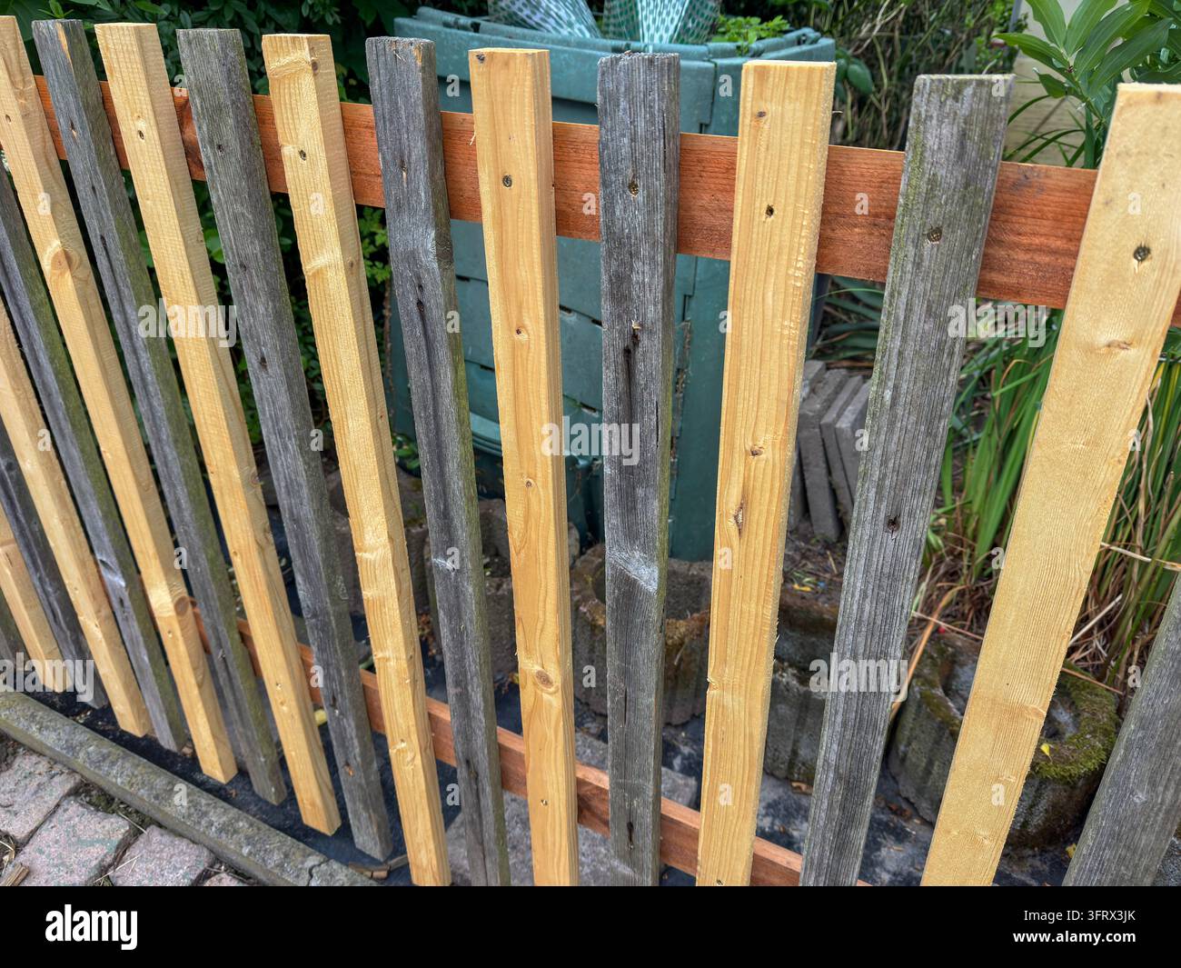 Alte und neue Holzlatten an einem Gartenzaun während der Renovierung, die den Kontrast zwischen verwittertem Holz und frisch ersetztem Brett zeigen. Das Bild Stockfoto